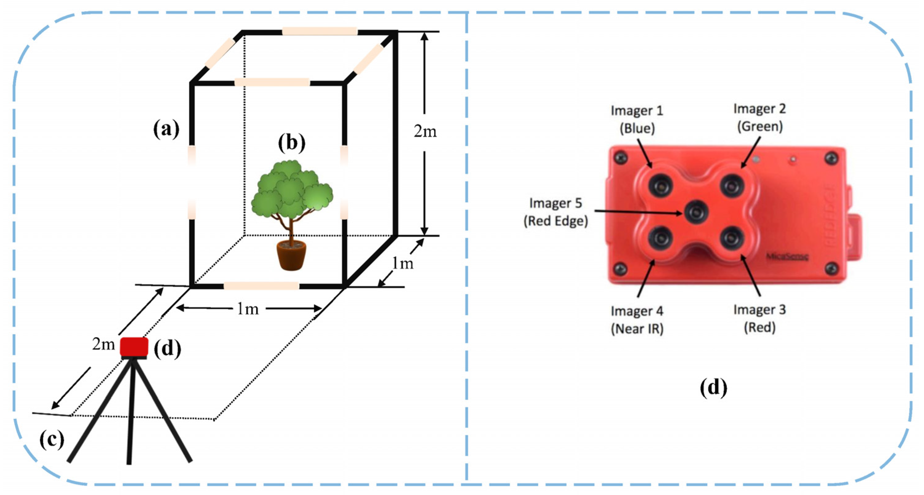 Forests 14 01144 g003 Forests 14 01144 g003