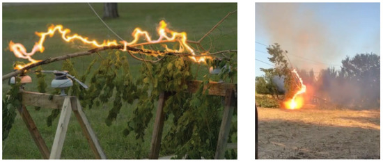 Forests 14 01146 g002 550