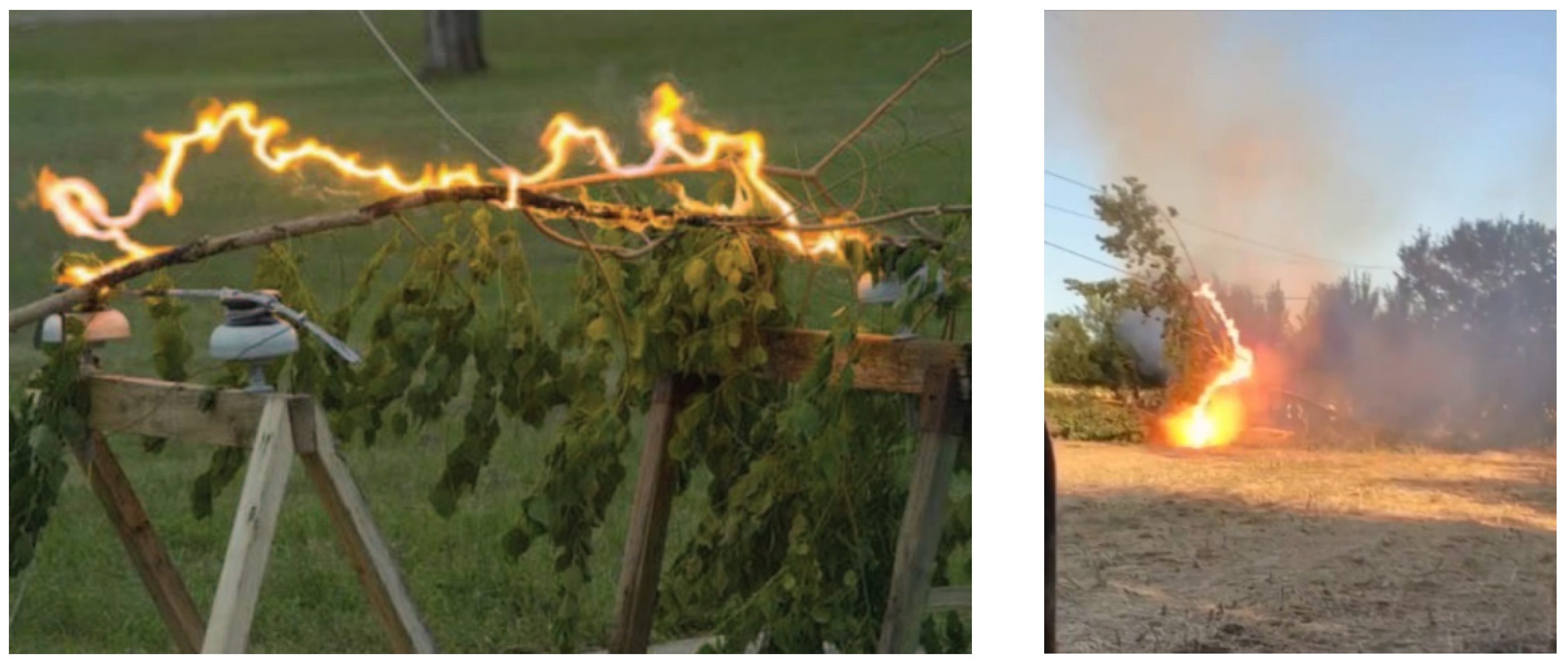 Forests 14 01146 g002 Forests 14 01146 g002