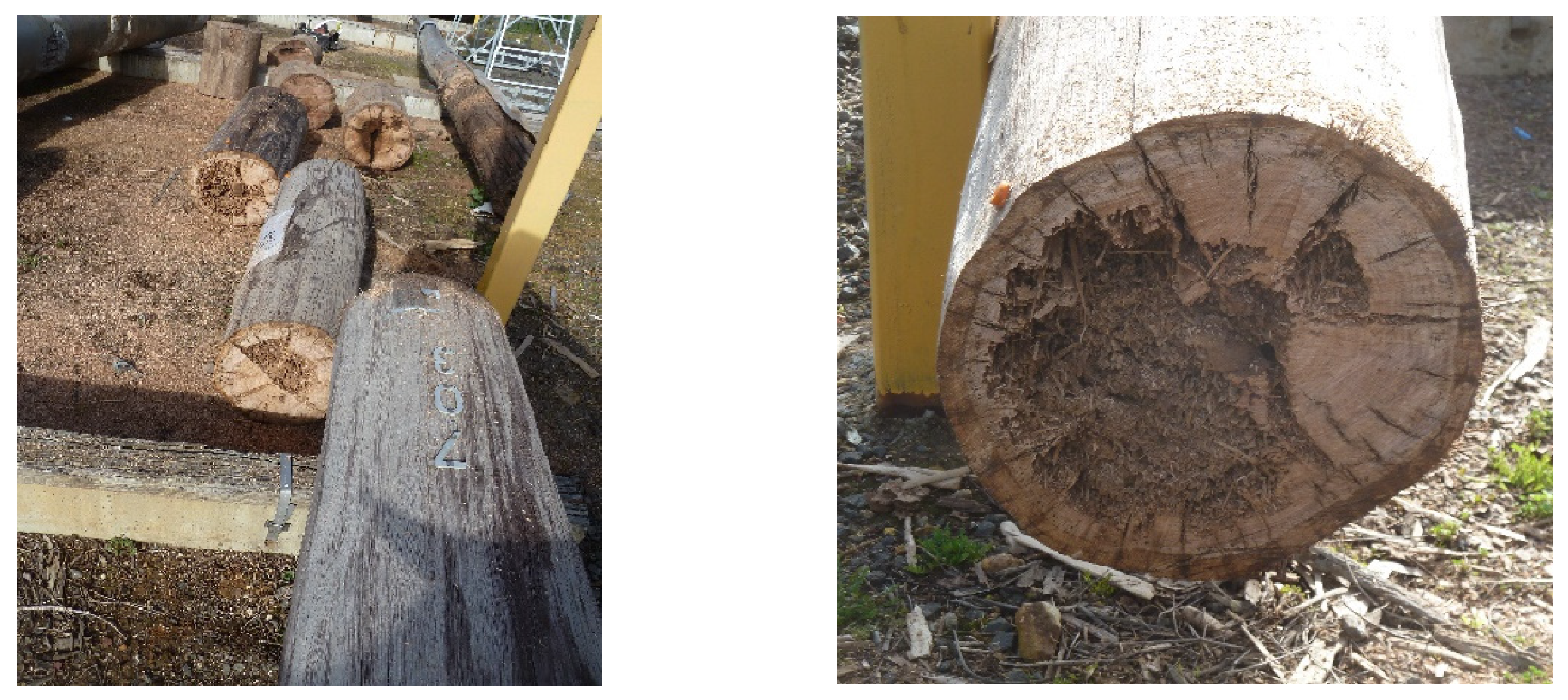 Forests 14 01146 g003 Forests 14 01146 g003