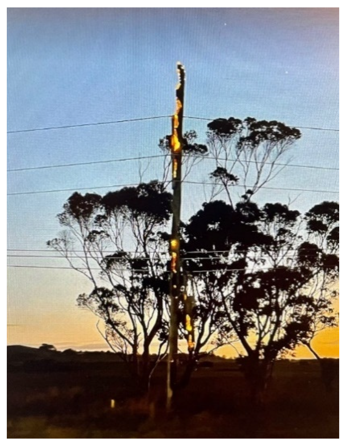 Forests 14 01146 g005 Forests 14 01146 g005