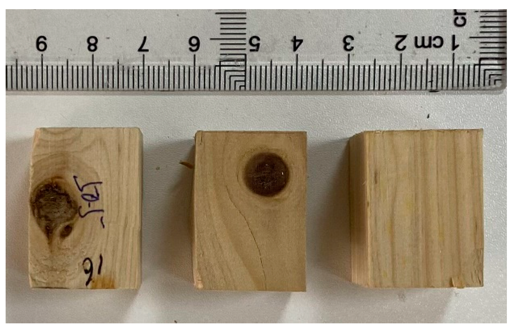 Forests 14 01148 g001