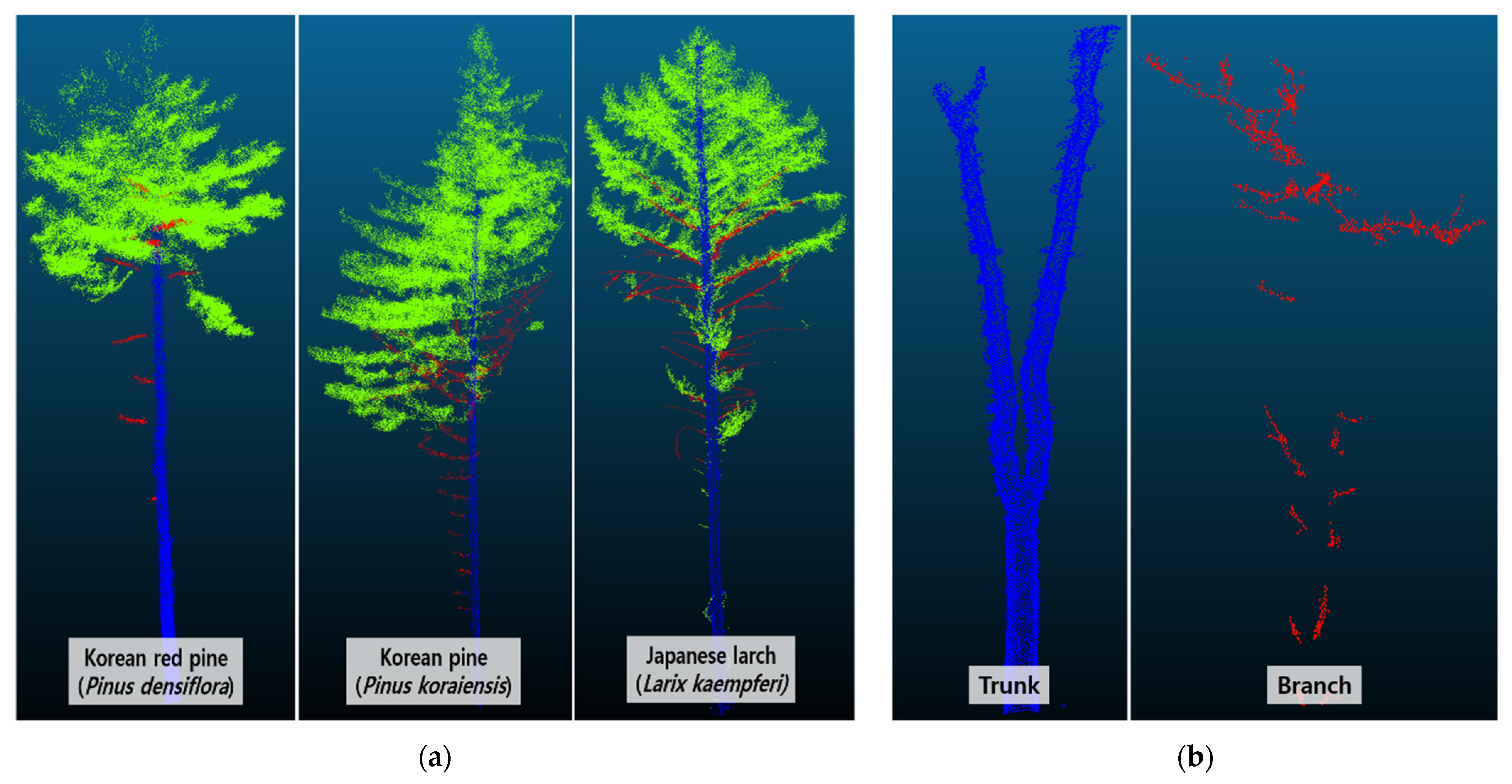 Forests 14 01159 g003 Forests 14 01159 g003
