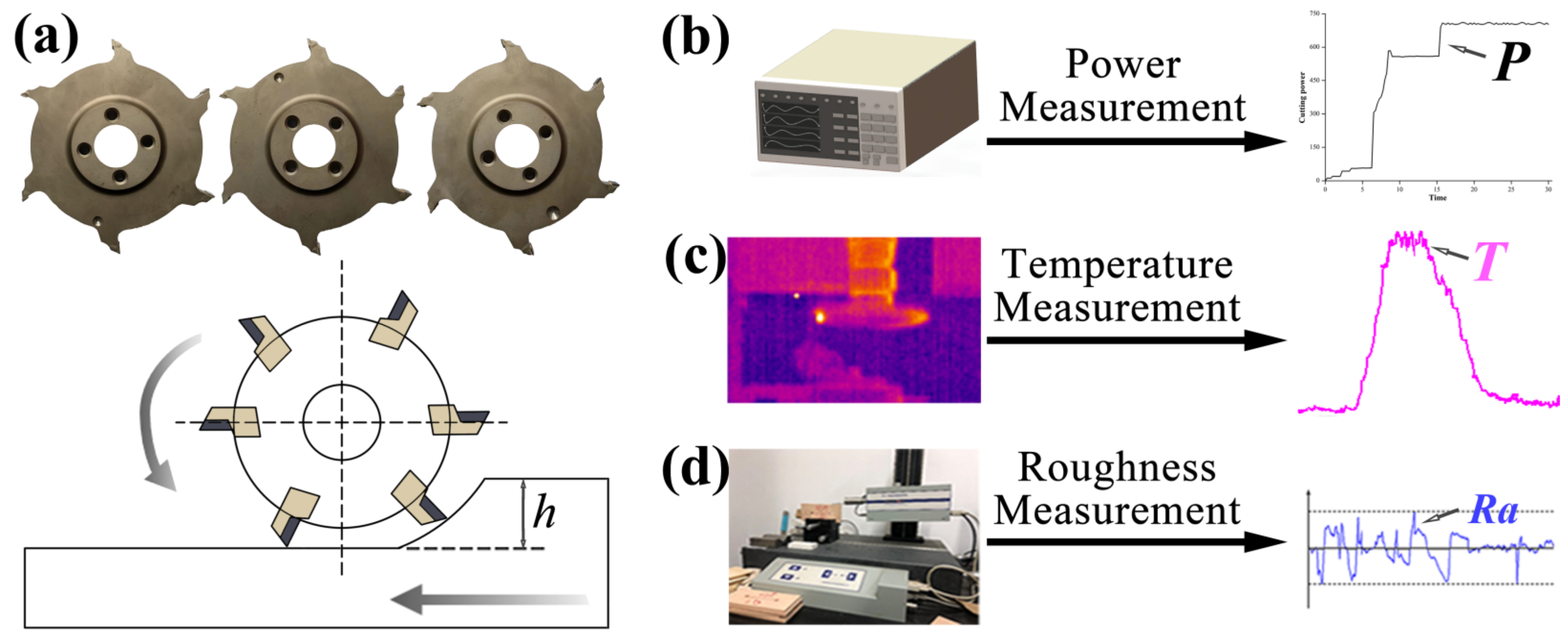 Forests 14 01163 g001
