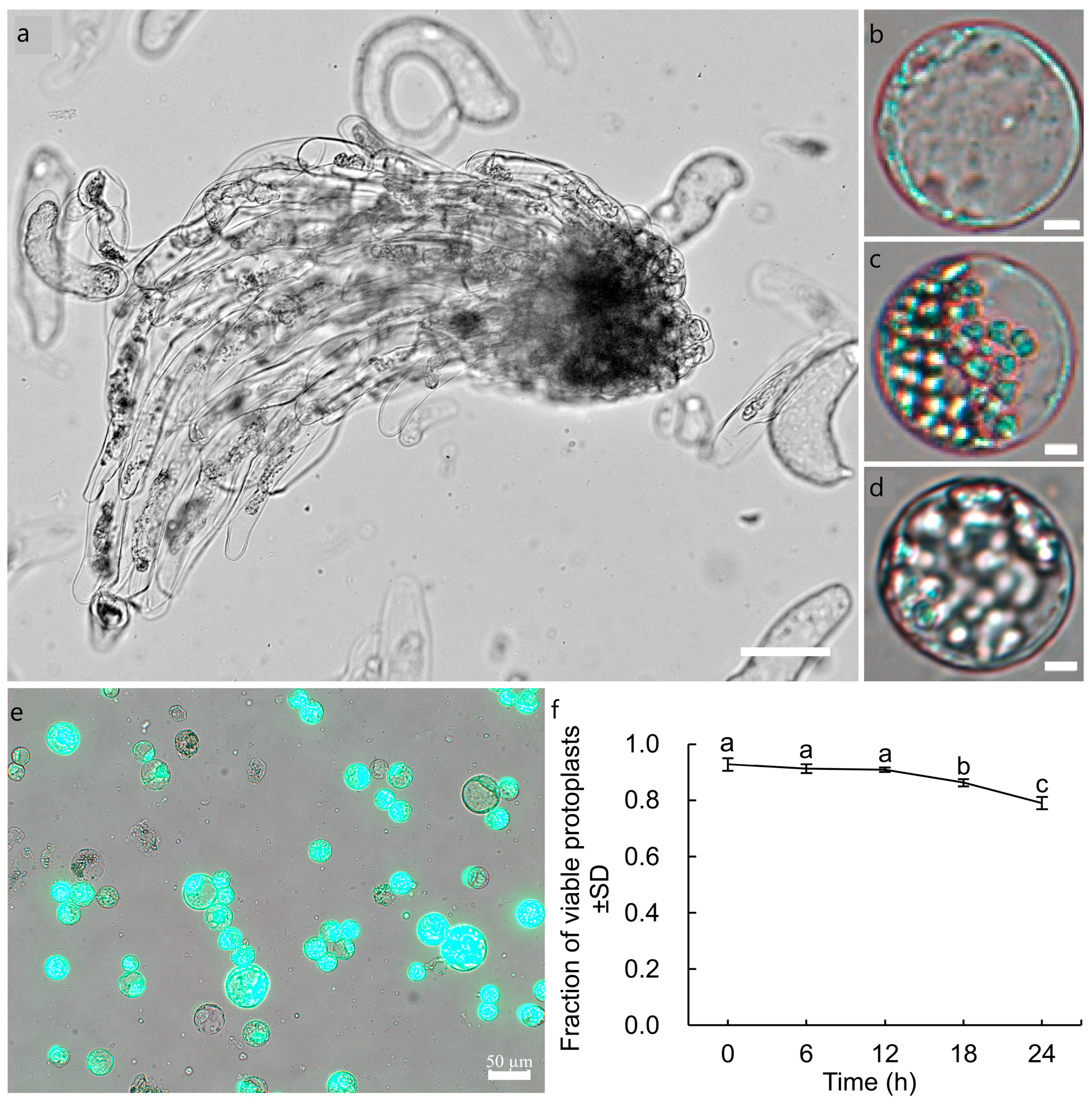 Forests 14 01168 g006 Forests 14 01168 g006