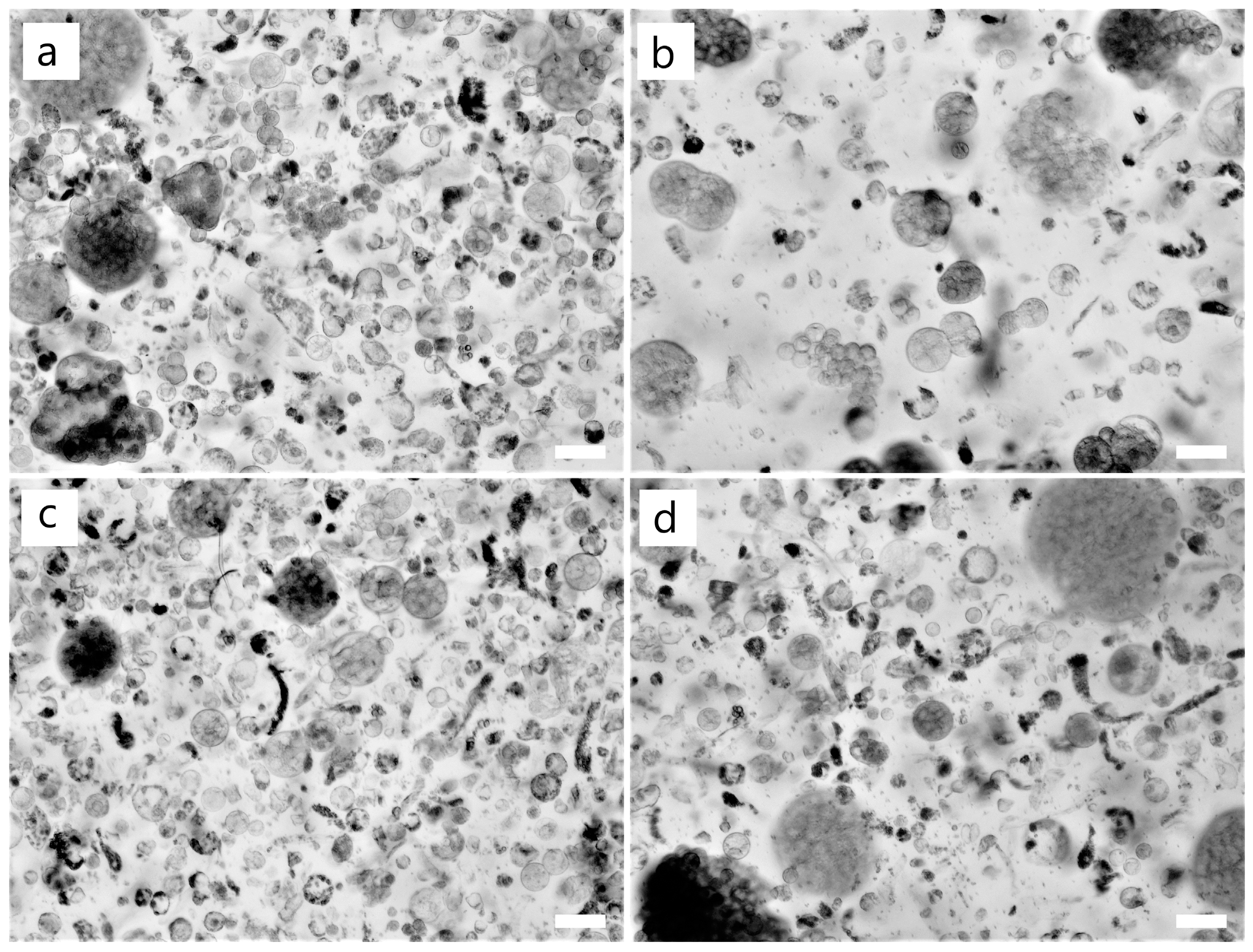 Forests 14 01168 g007 Forests 14 01168 g007