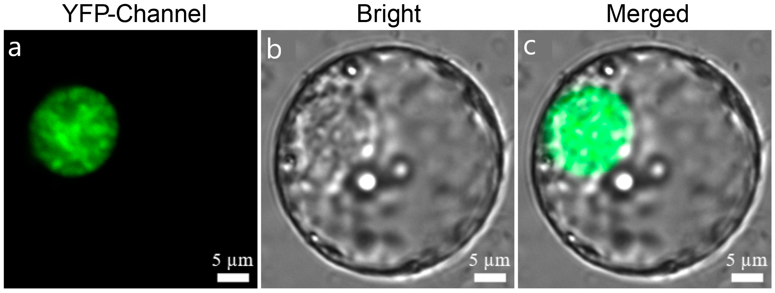 Forests 14 01168 g008 Forests 14 01168 g008