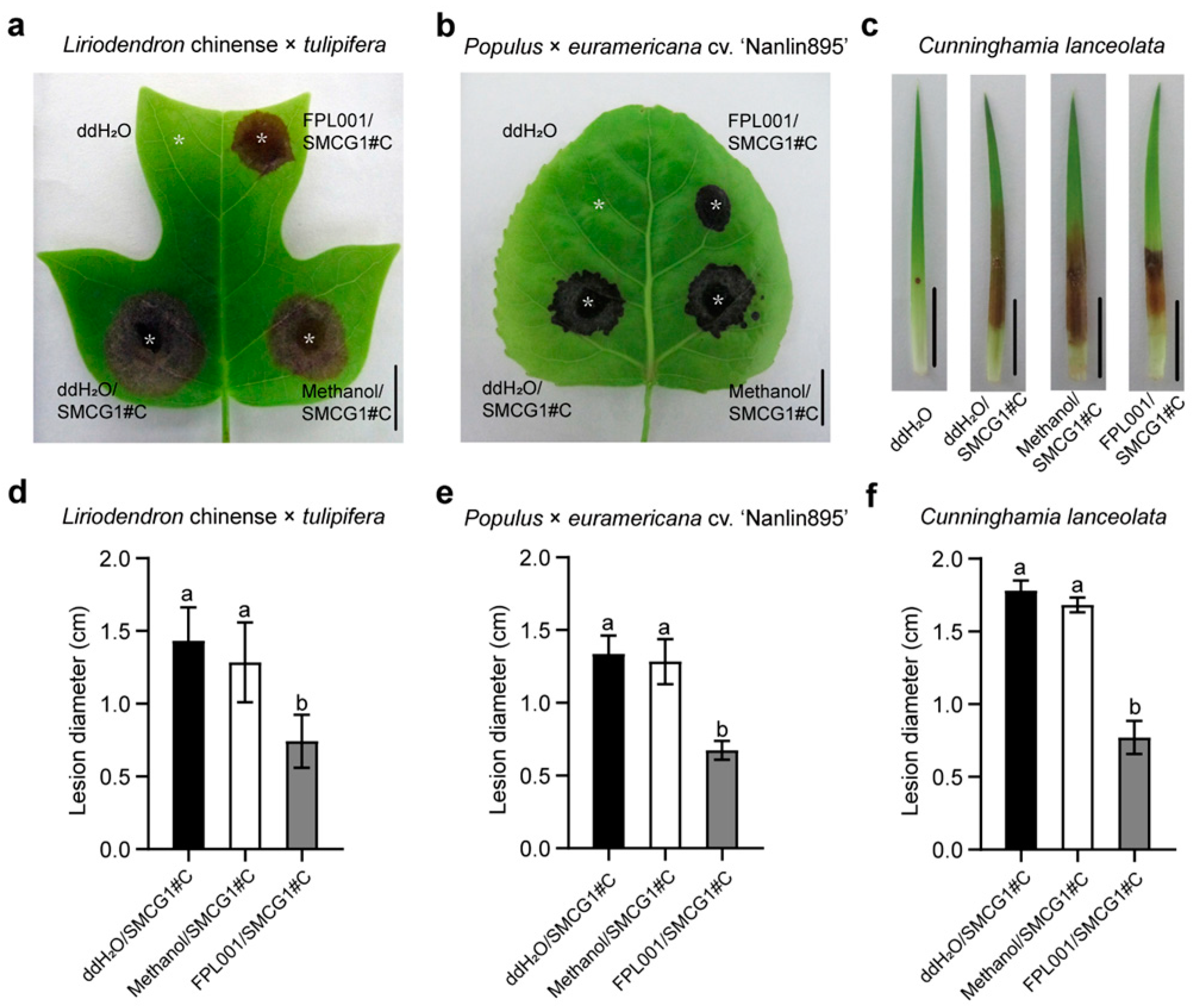 Forests 14 01172 g003