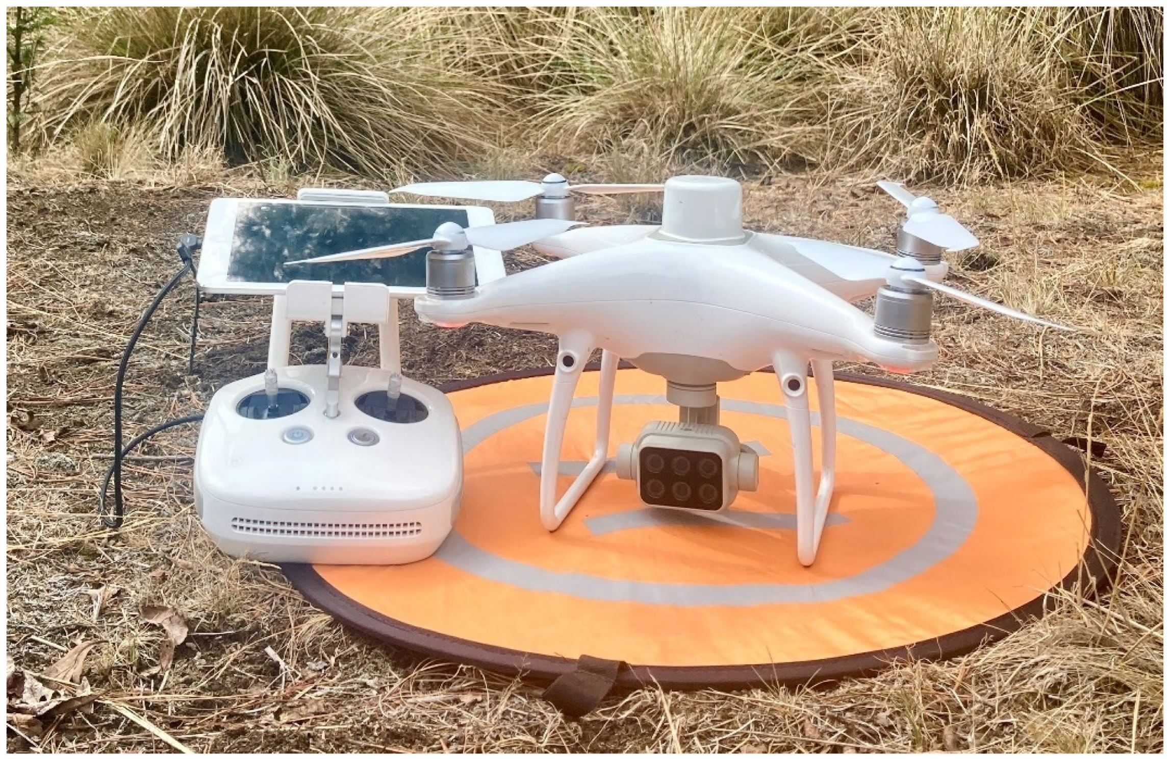 Forests 14 01176 g002