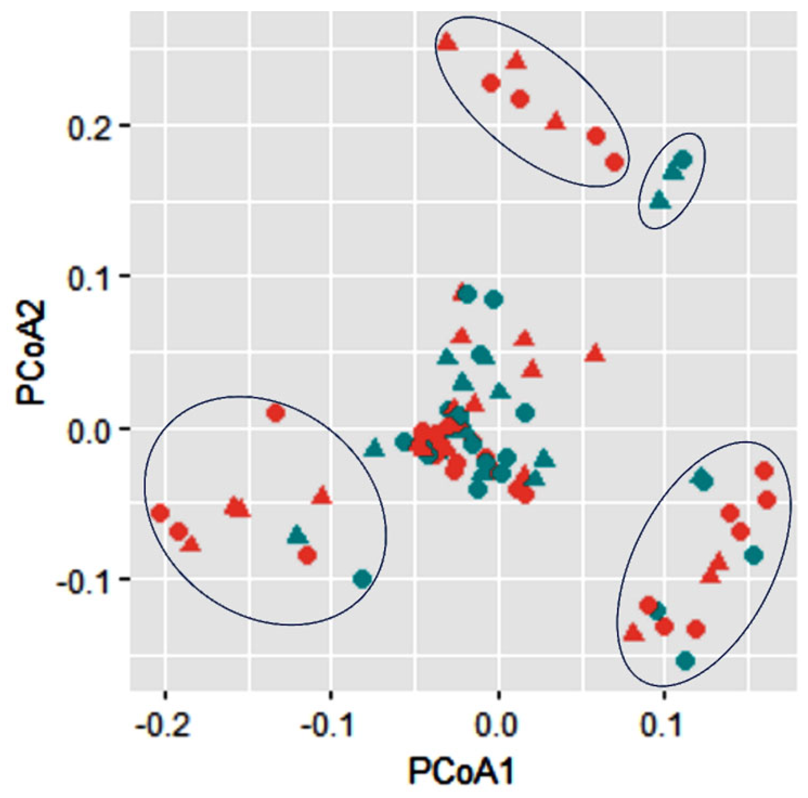 Forests 14 01180 g004