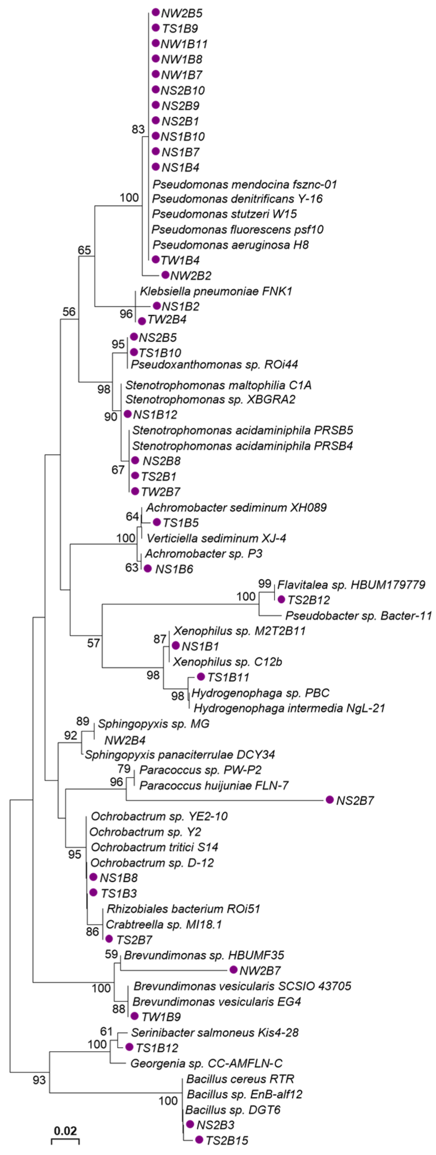 Forests 14 01180 g006