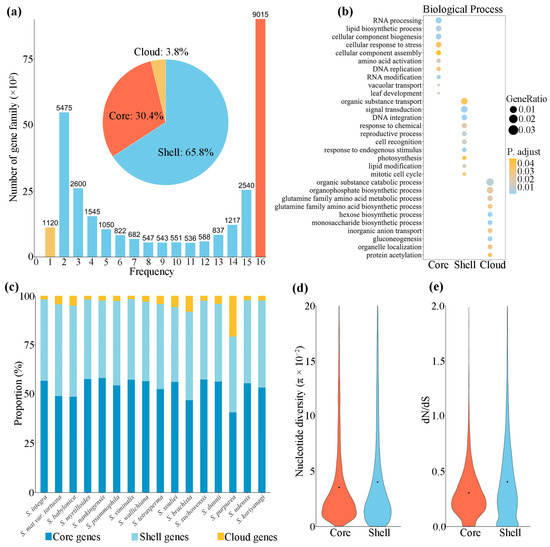 Pan-Transcriptome Analysis of Willow Species from Diverse