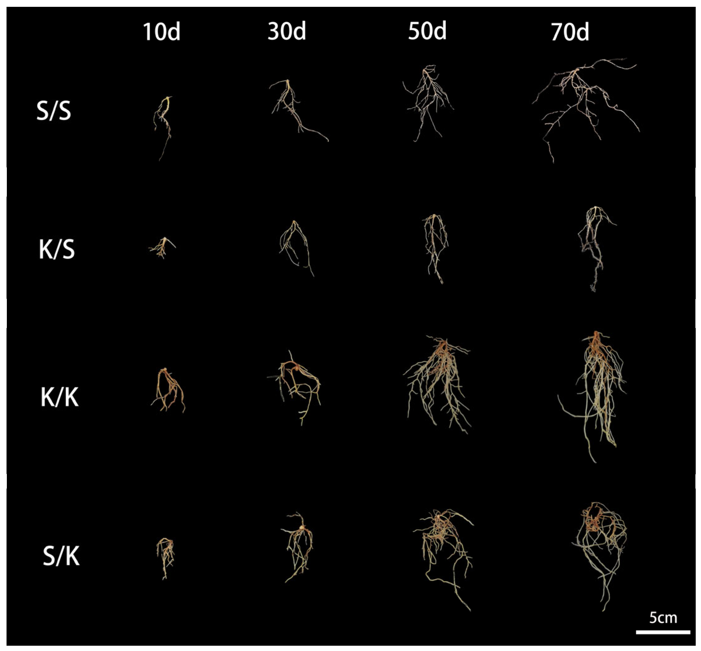 Forests 14 01183 g002 Forests 14 01183 g002