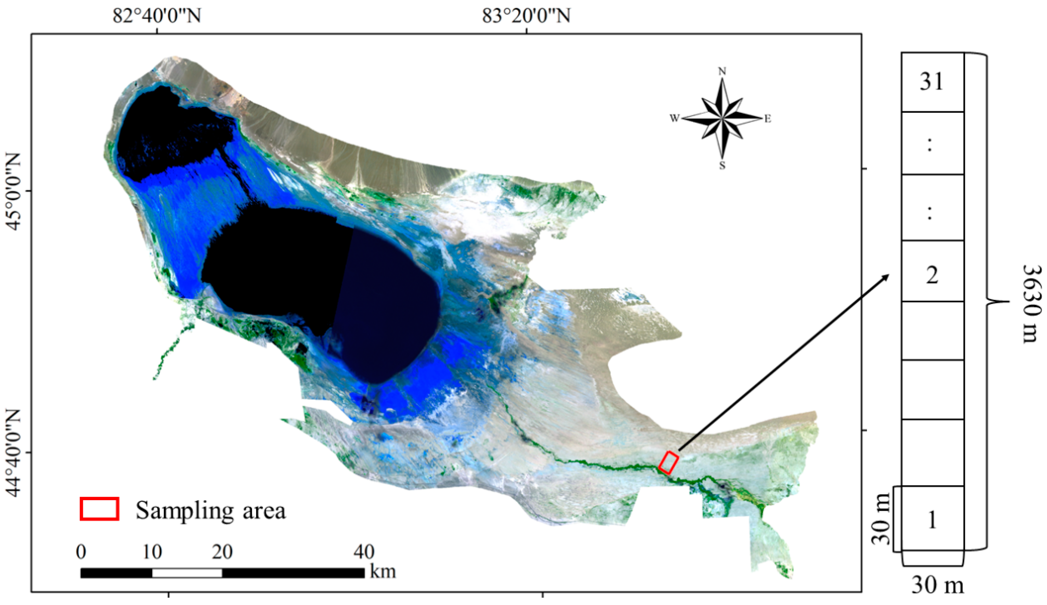 Forests 14 01185 g001 Forests 14 01185 g001