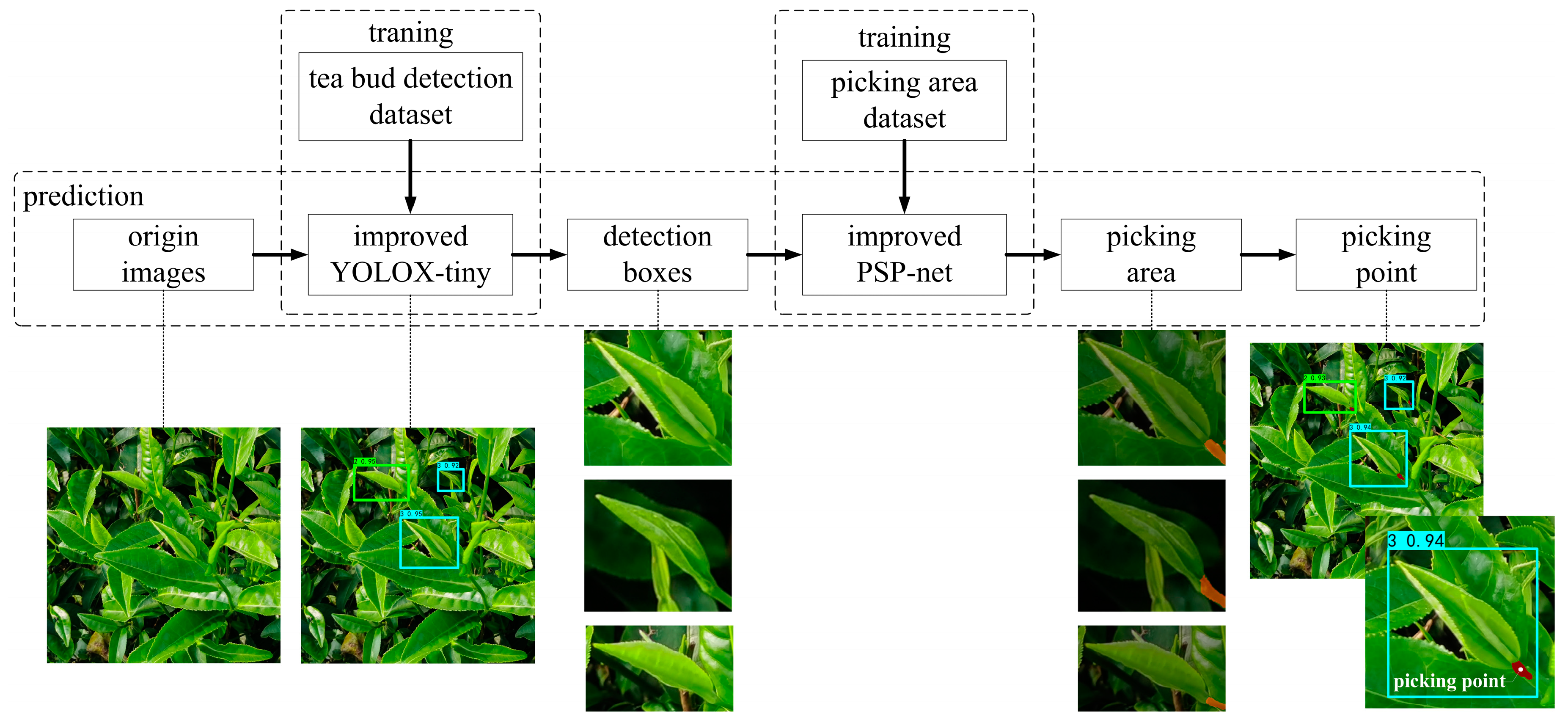 Forests 14 01188 g003 550