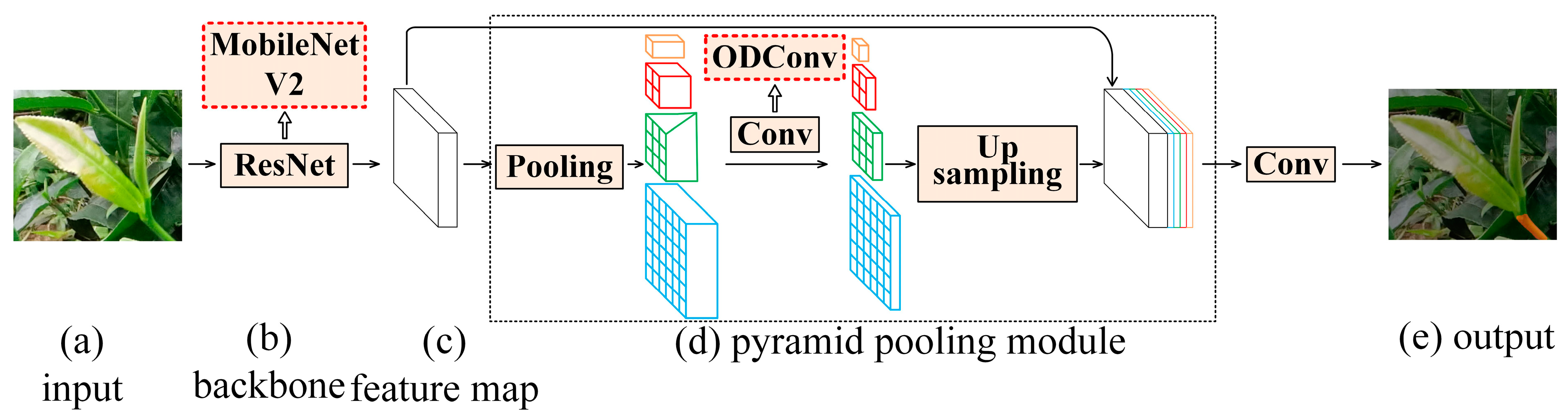 Forests 14 01188 g005 550