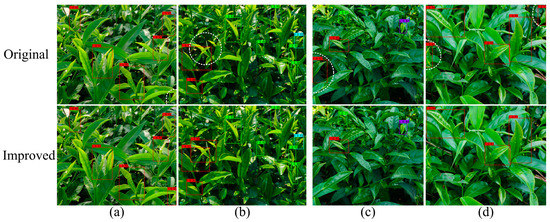 Tea Bud and Picking Point Detection Based on Deep Learning