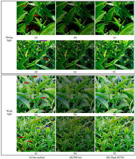 Tea Bud and Picking Point Detection Based on Deep Learning