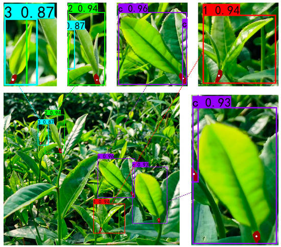 Tea Bud and Picking Point Detection Based on Deep Learning