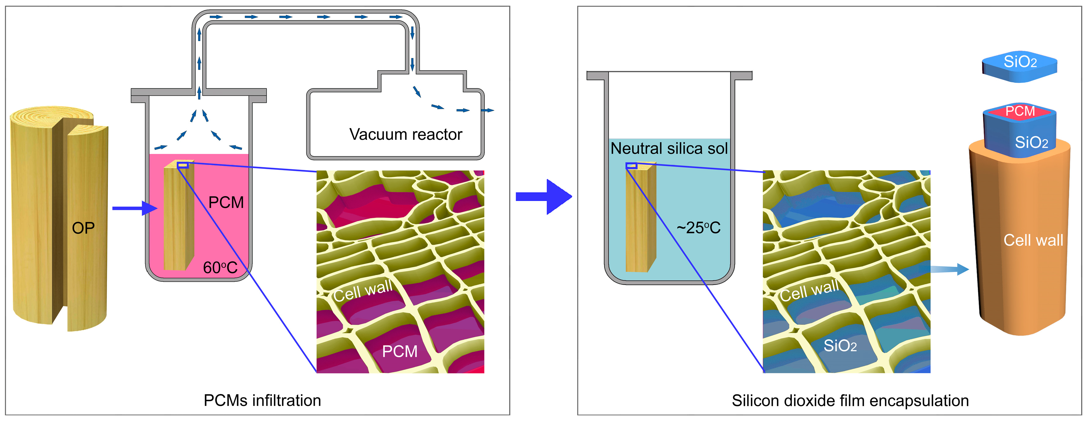 Forests 14 01190 g001 Forests 14 01190 g001