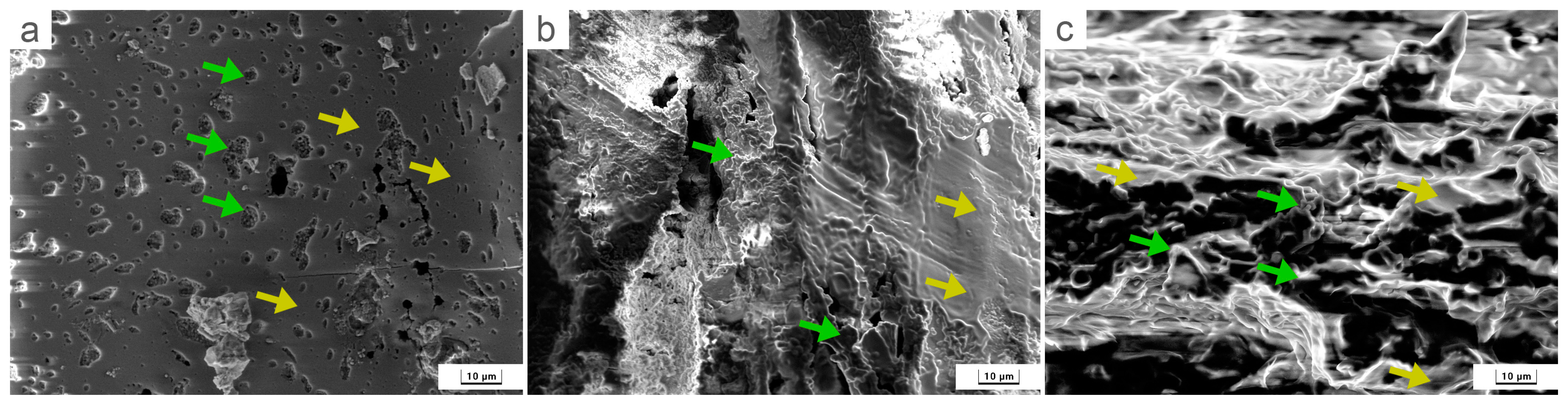 Forests 14 01190 g003 Forests 14 01190 g003