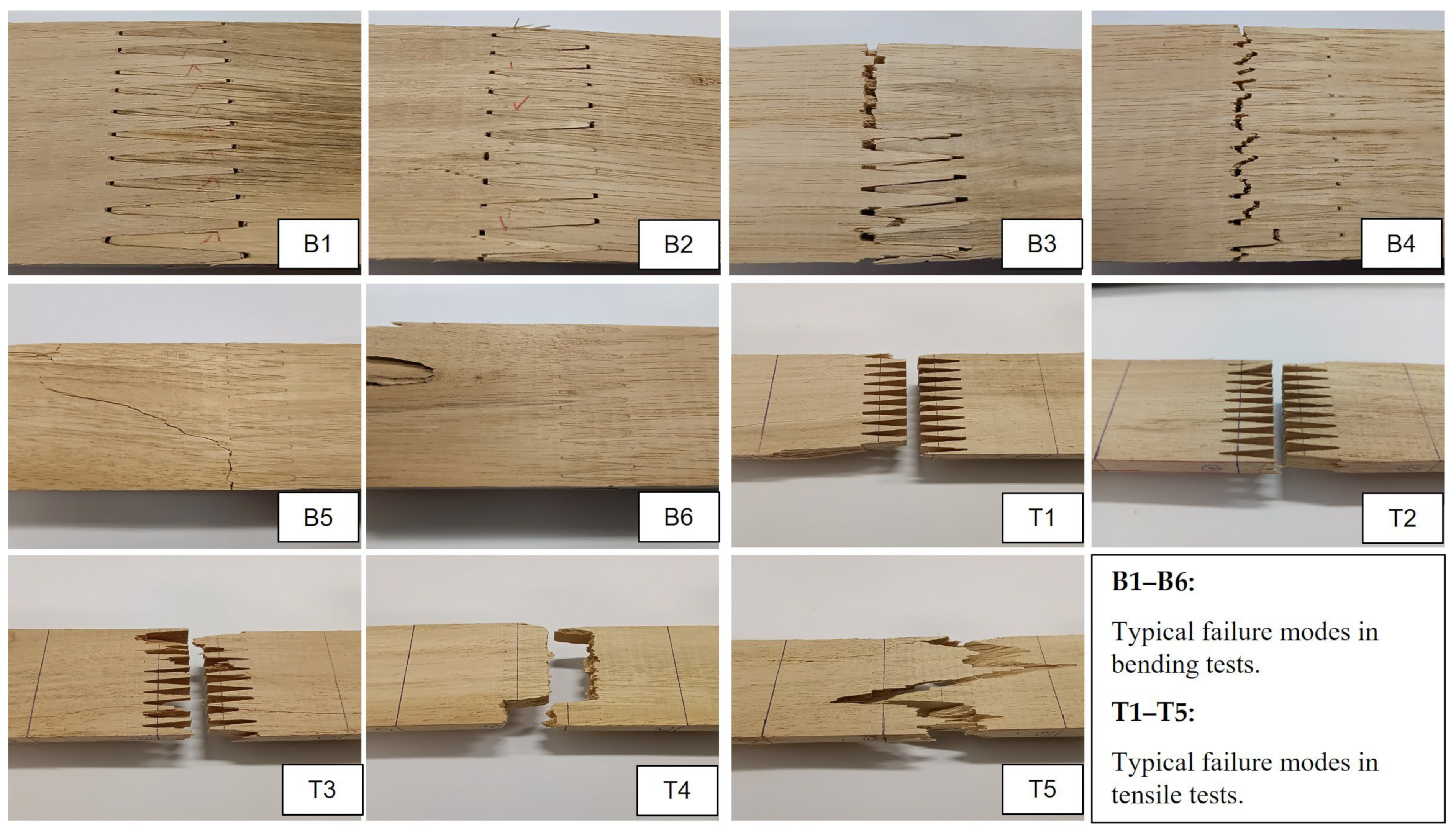 Forests 14 01192 g009 Forests 14 01192 g009