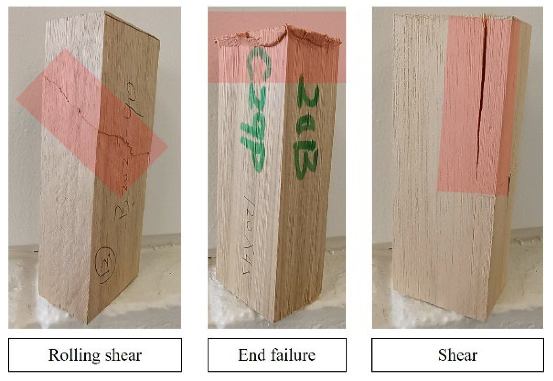 Forests 14 01192 g014 Forests 14 01192 g014