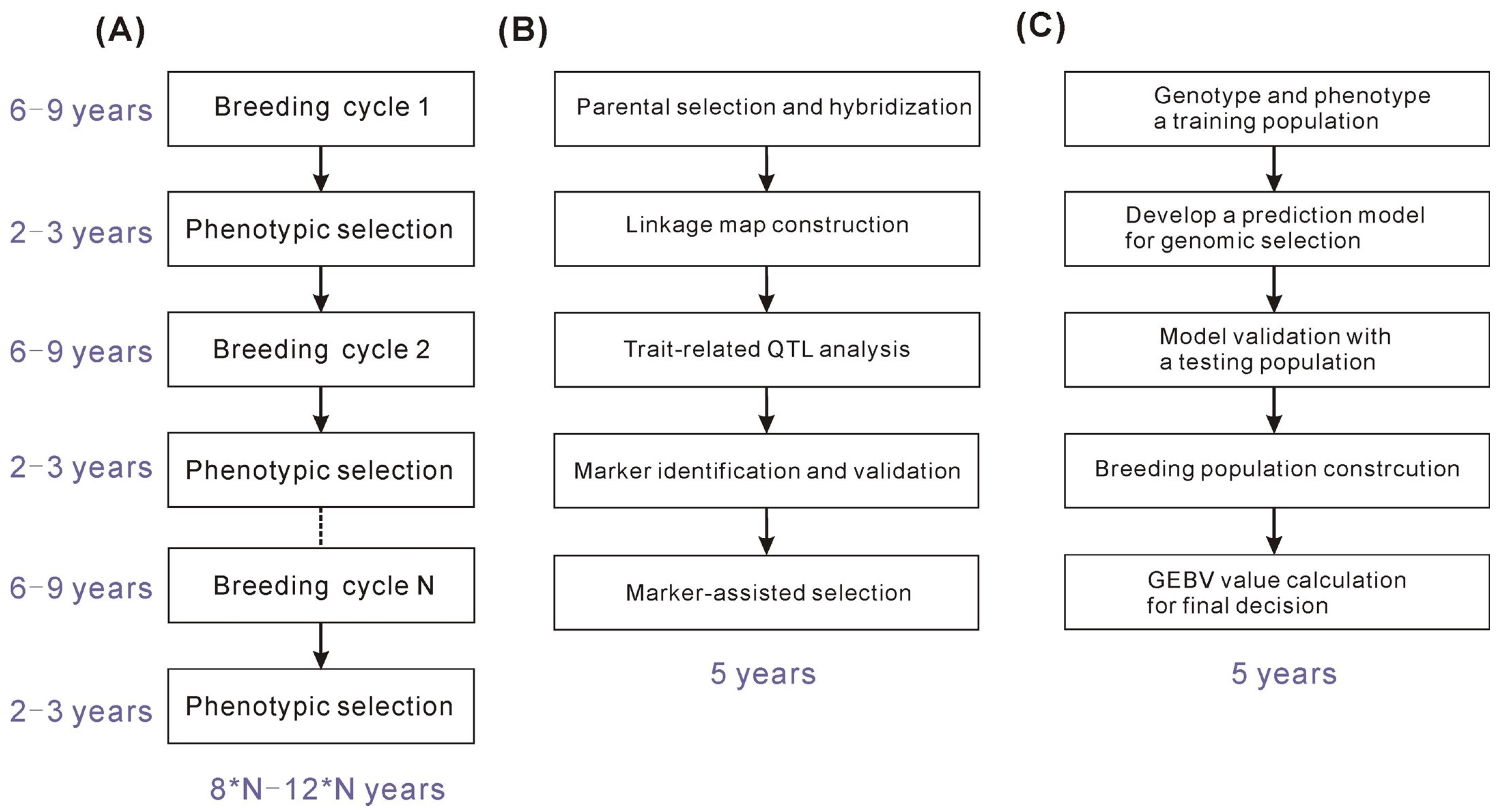 Forests 14 01196 g001 Forests 14 01196 g001