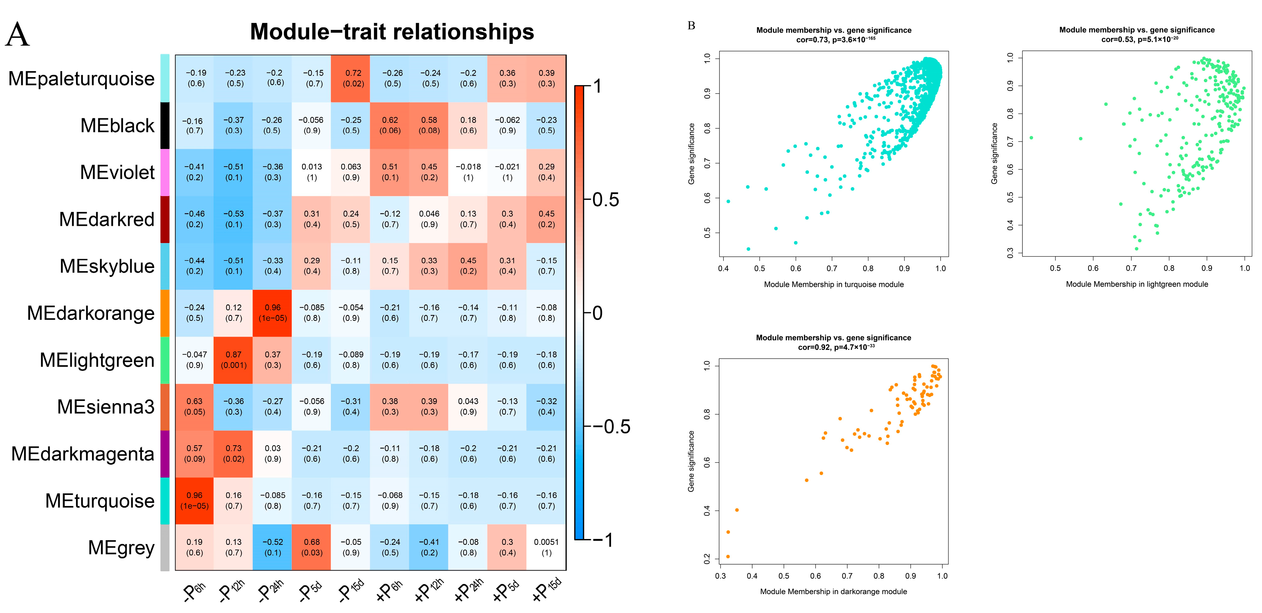 Forests 14 01203 g004a