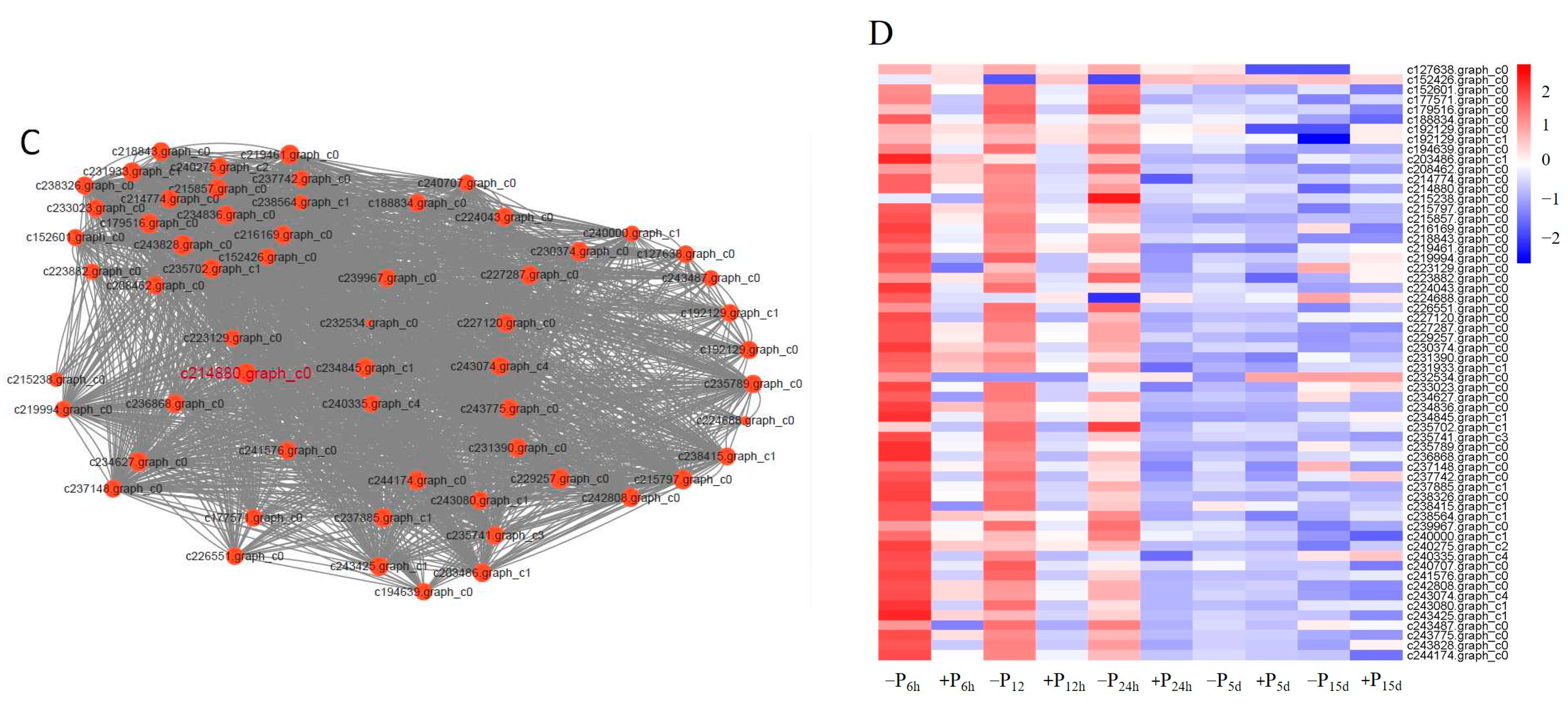 Forests 14 01203 g004b