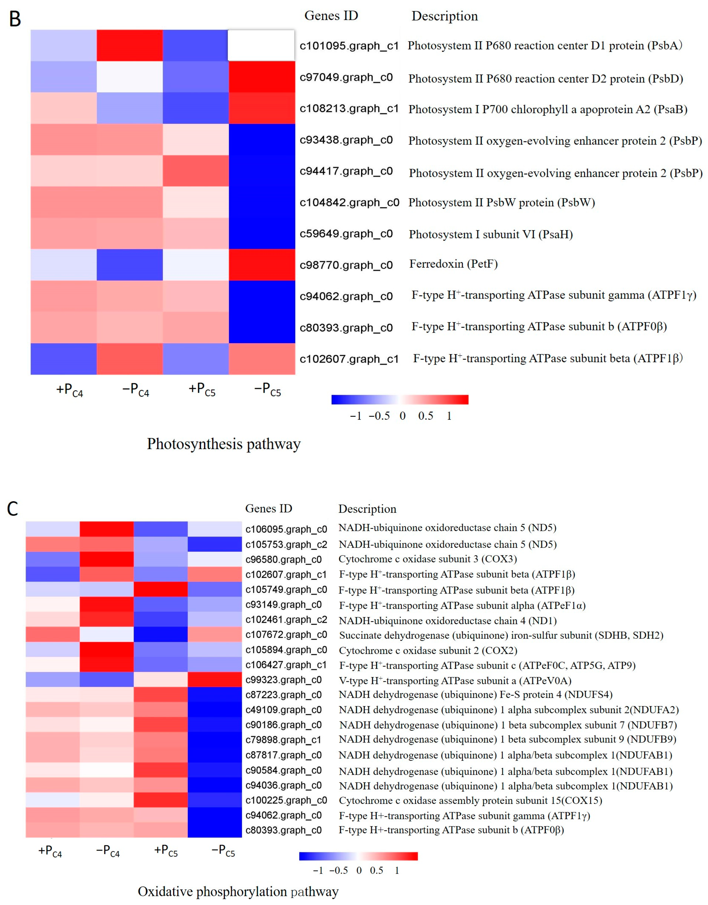 Forests 14 01203 g005b
