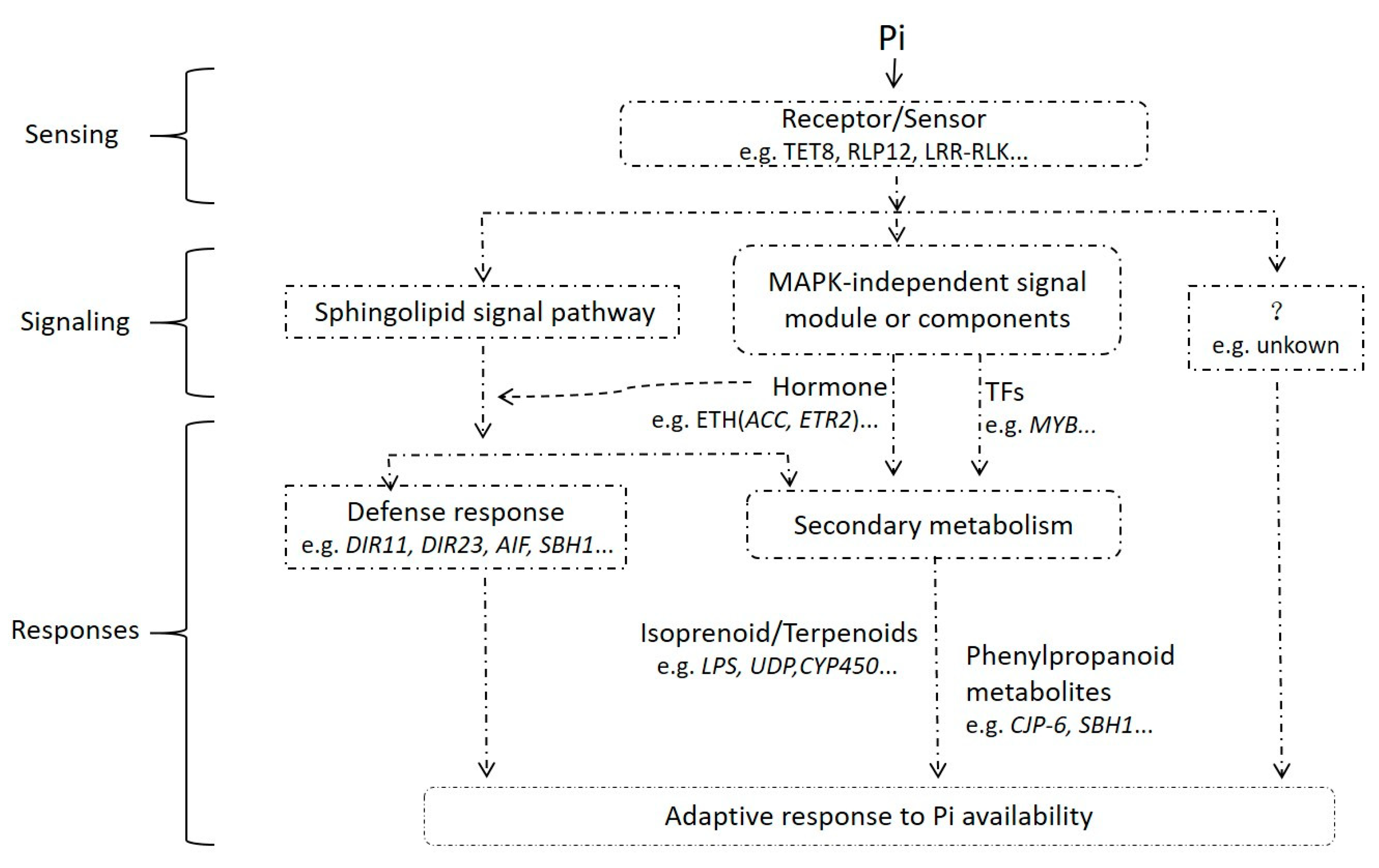 Forests 14 01203 g007