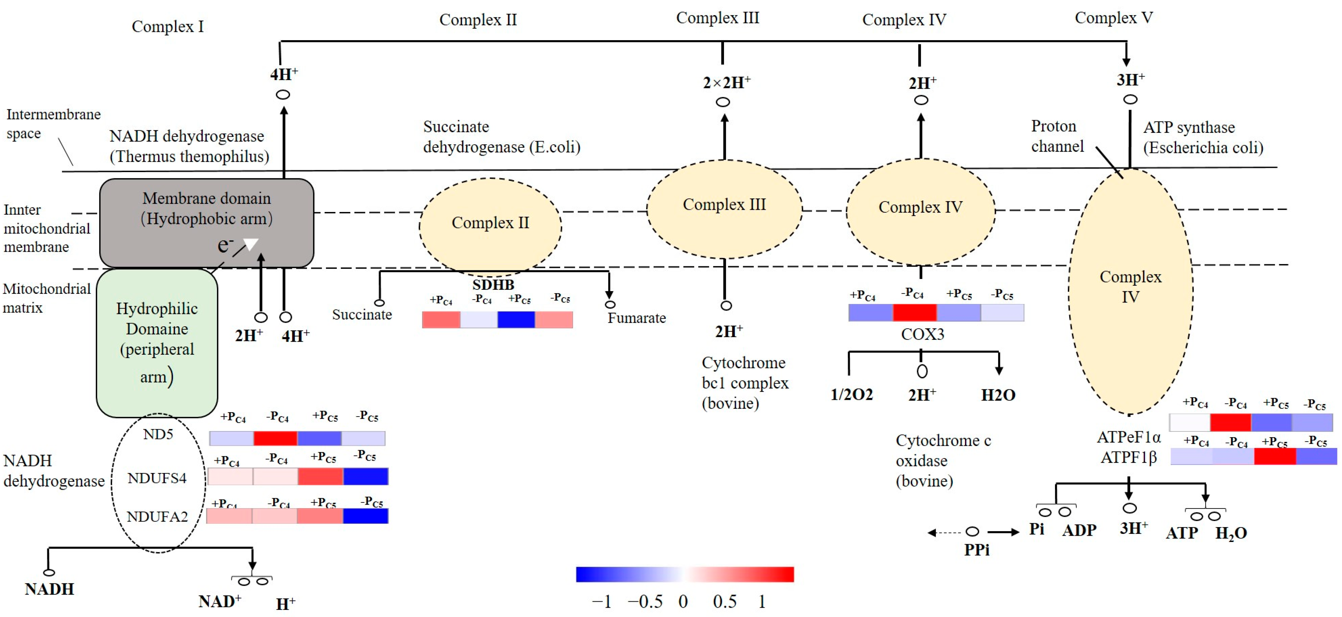 Forests 14 01203 g008