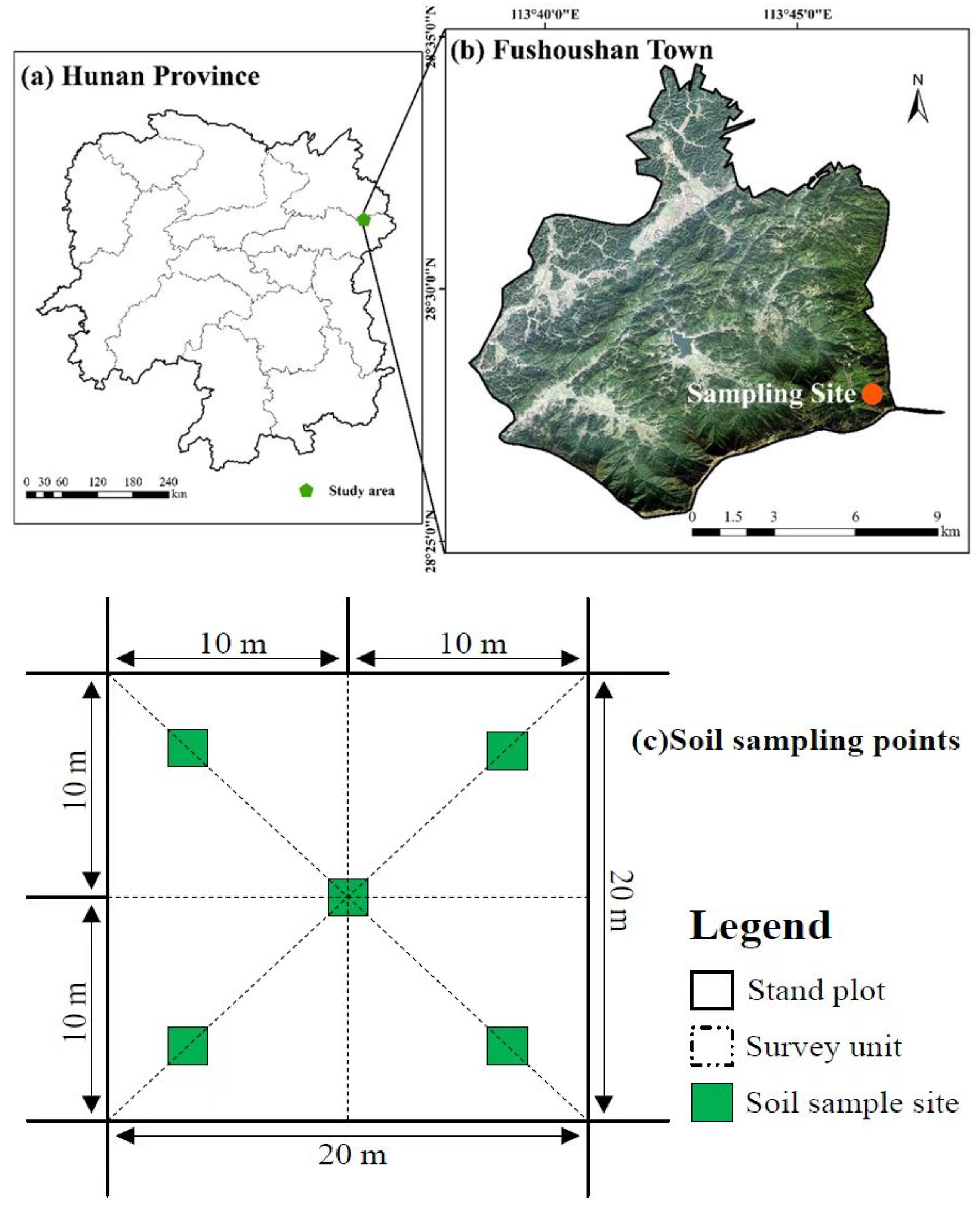 Forests 14 01217 g001