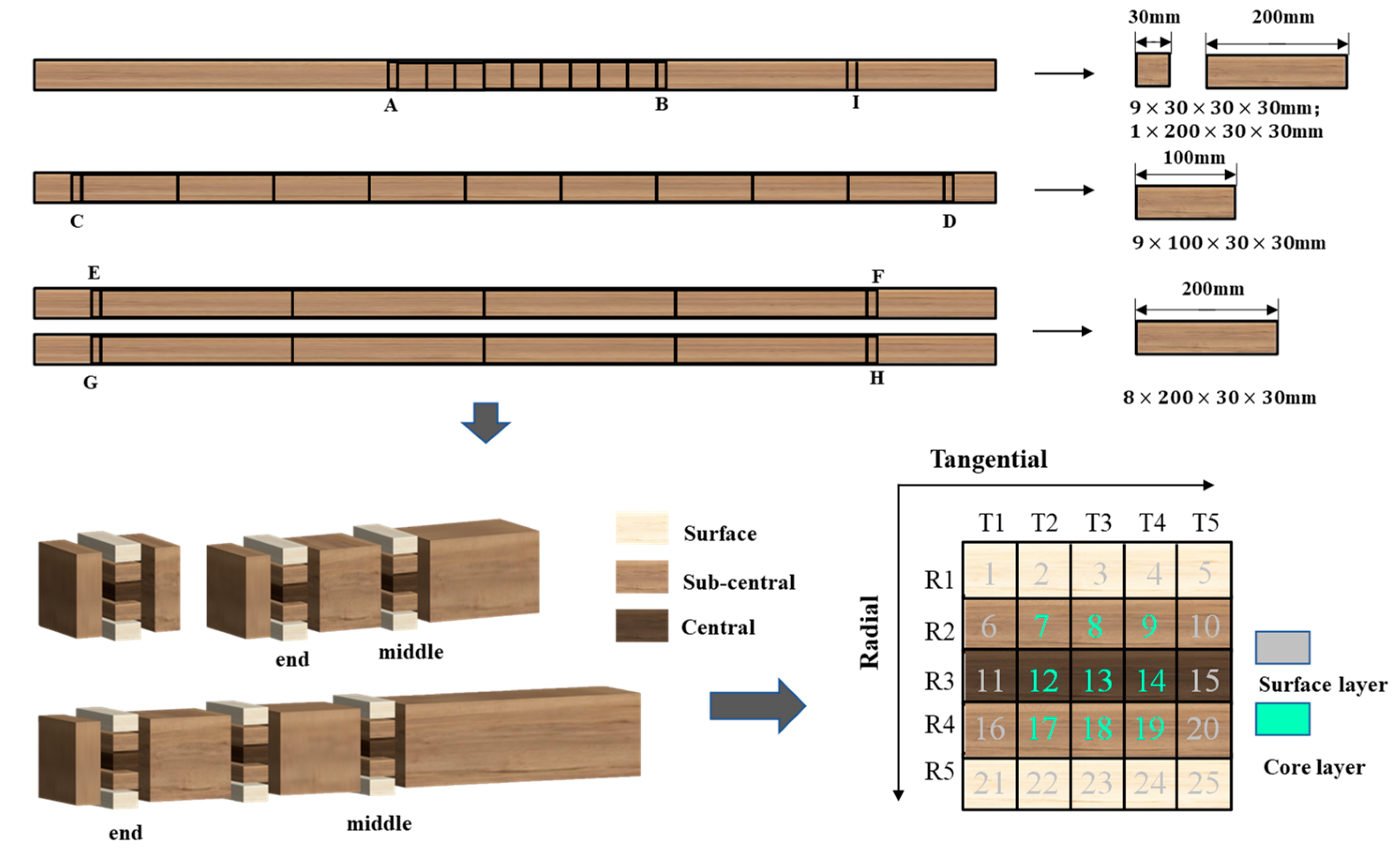 Forests 14 01218 g001 Forests 14 01218 g001