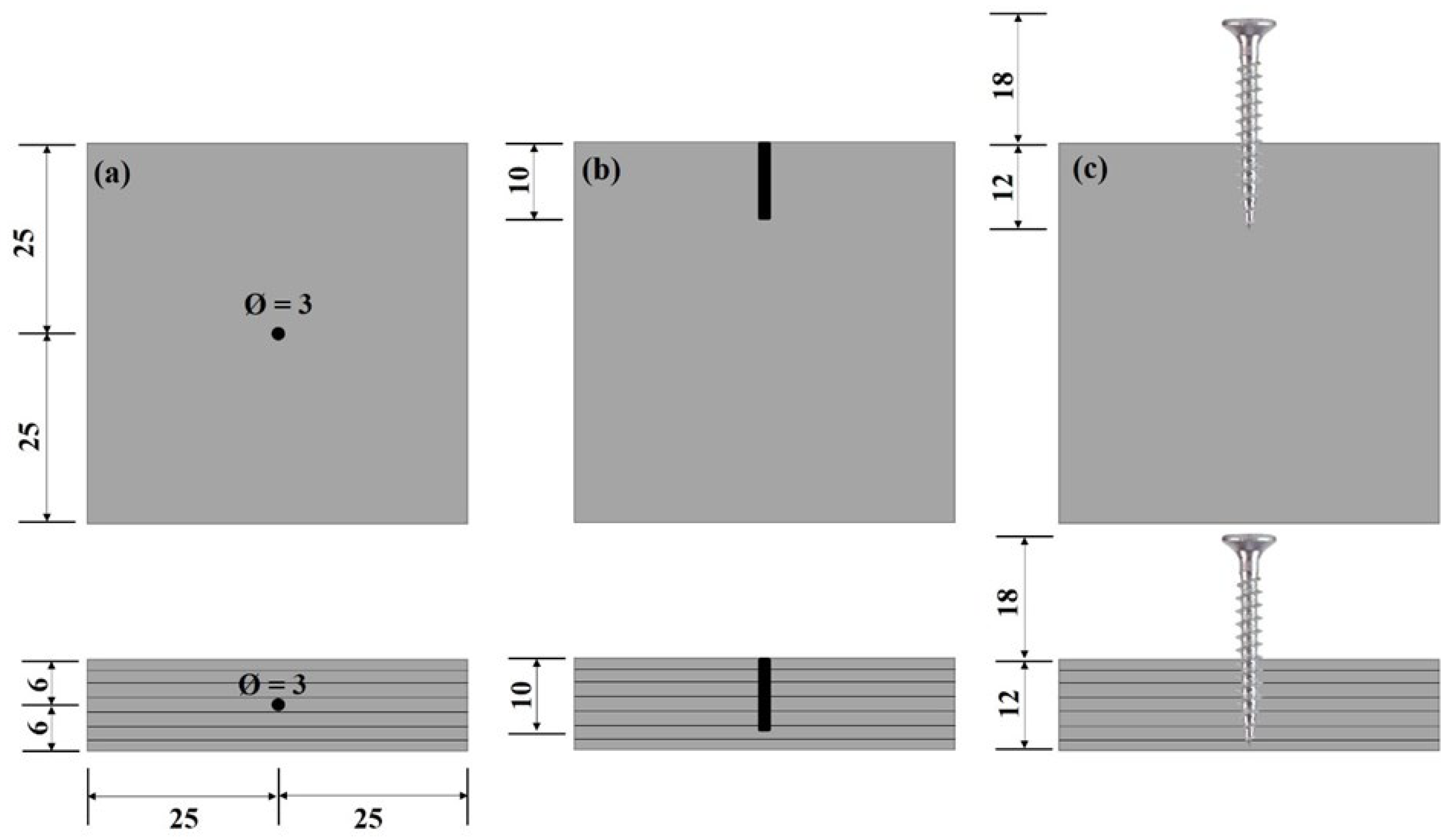 Forests 14 01243 g002