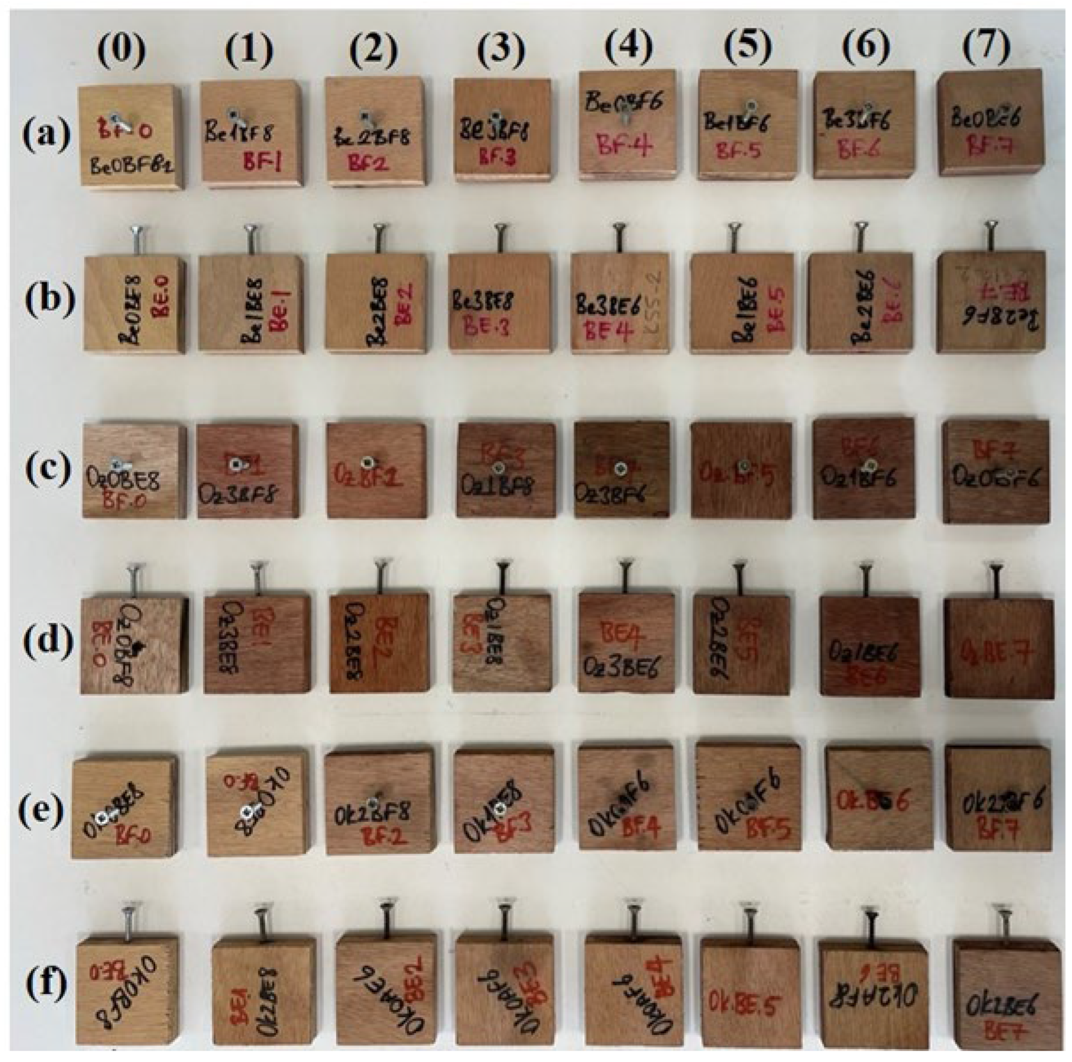 Forests 14 01243 g009