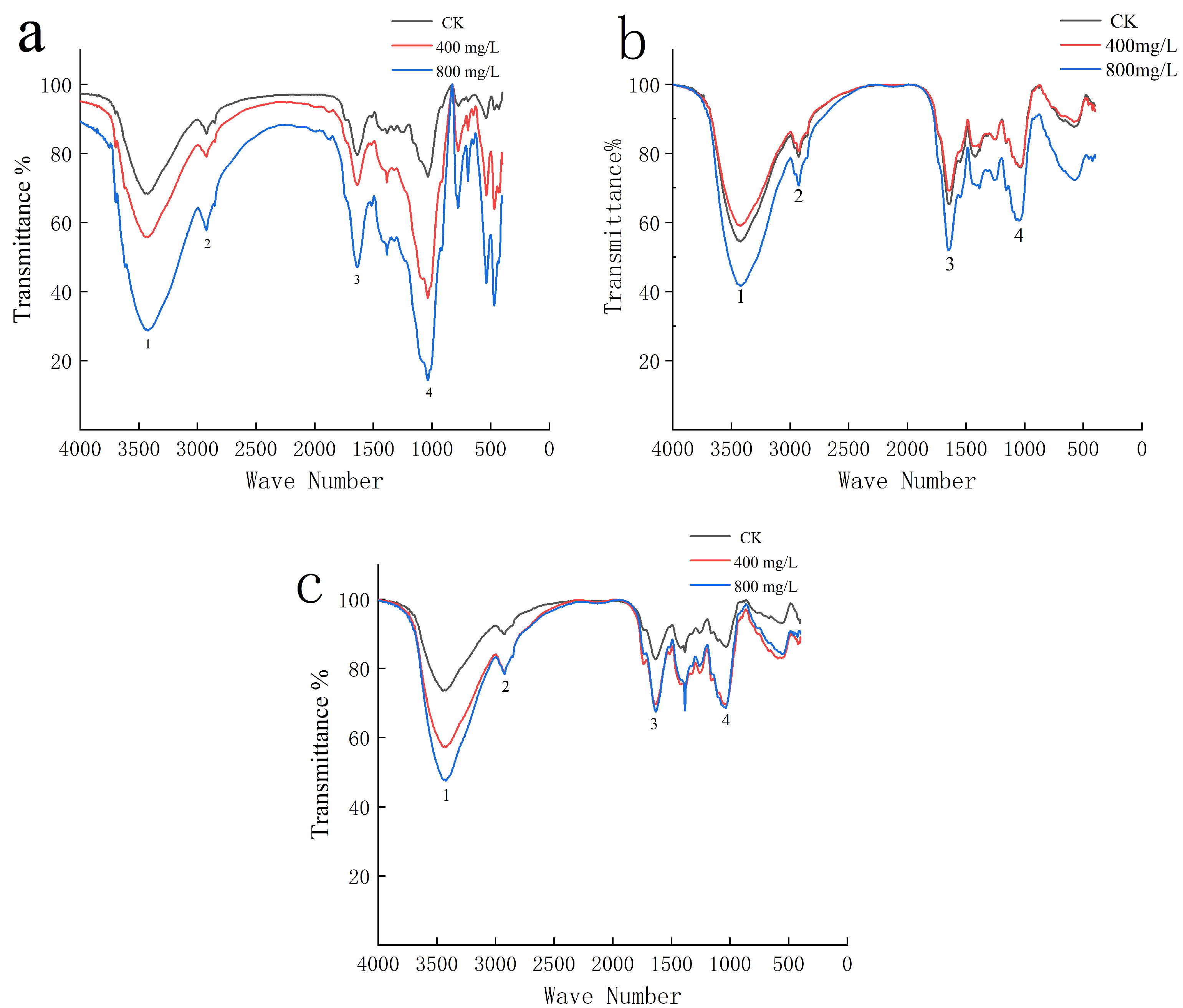 Forests 14 01245 g004 Forests 14 01245 g004
