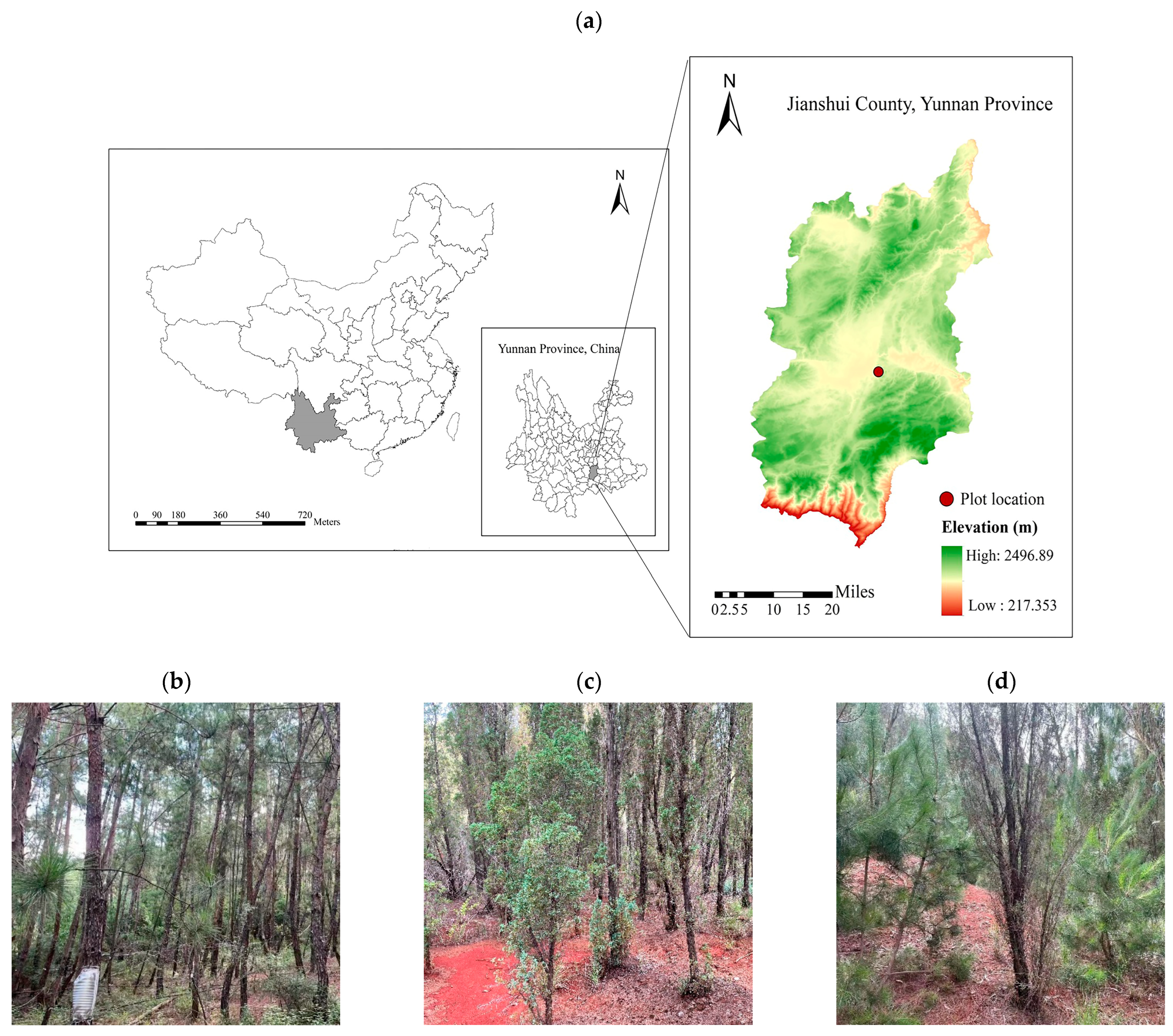 Forests 14 01248 g001 Forests 14 01248 g001