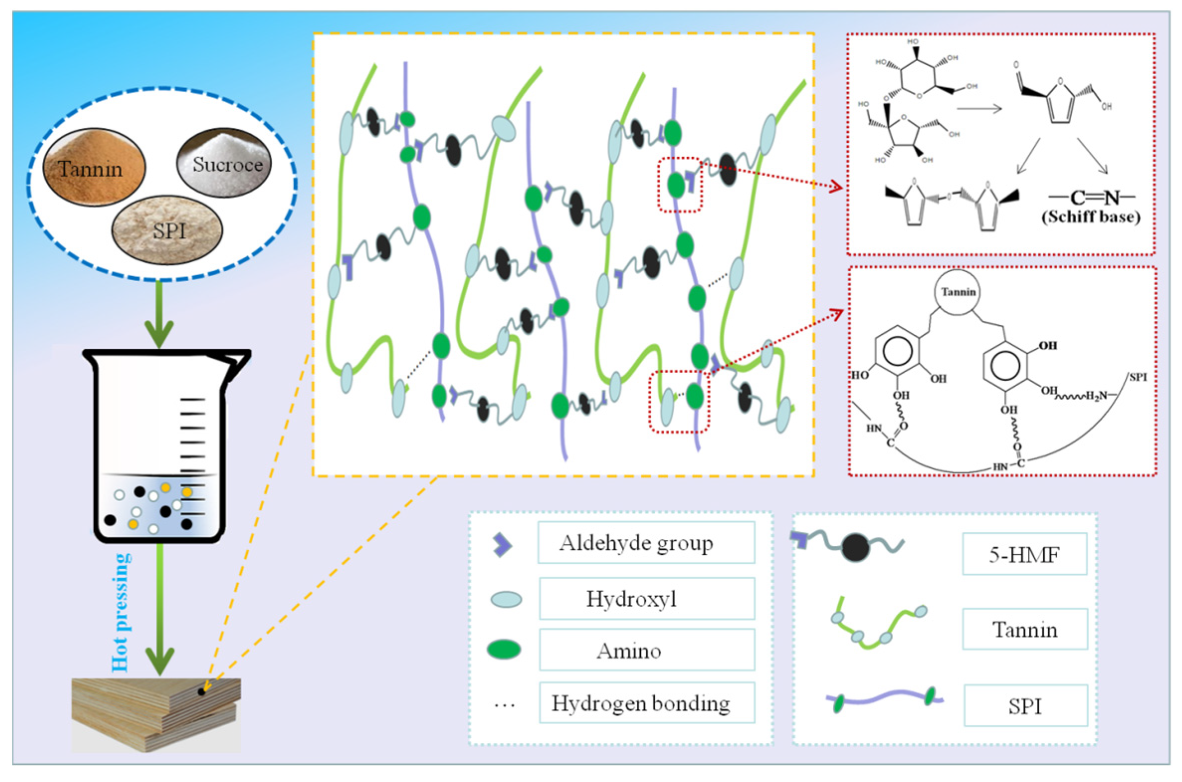 Forests 14 01250 g011 Forests 14 01250 g011