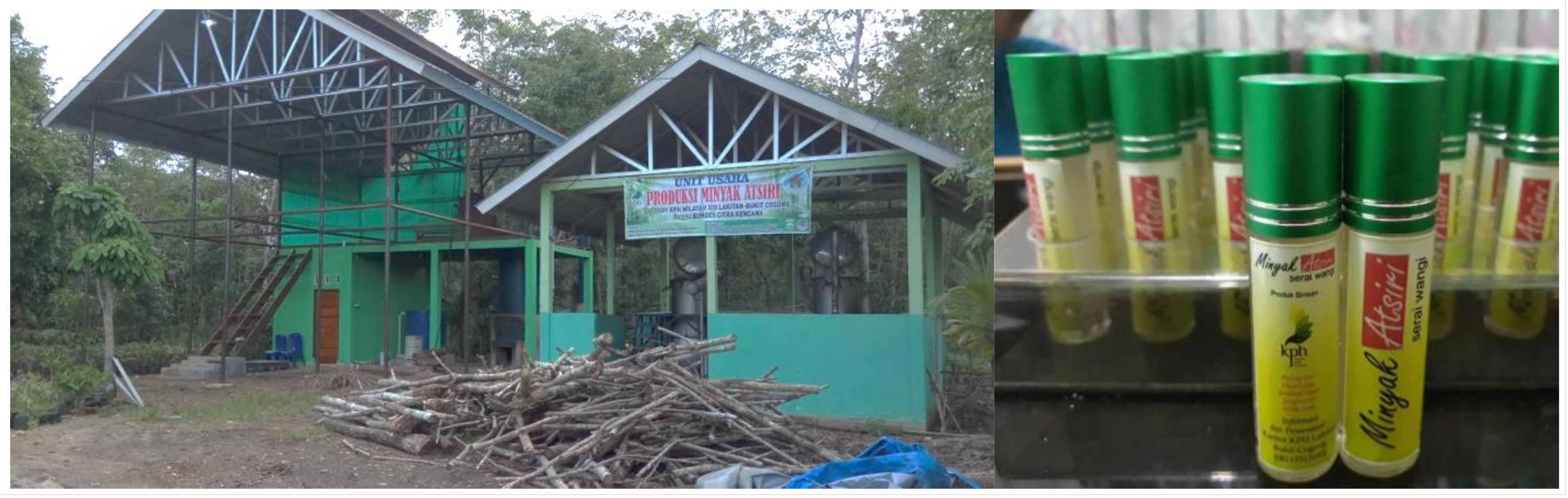 Forests 14 01251 g003 Forests 14 01251 g003