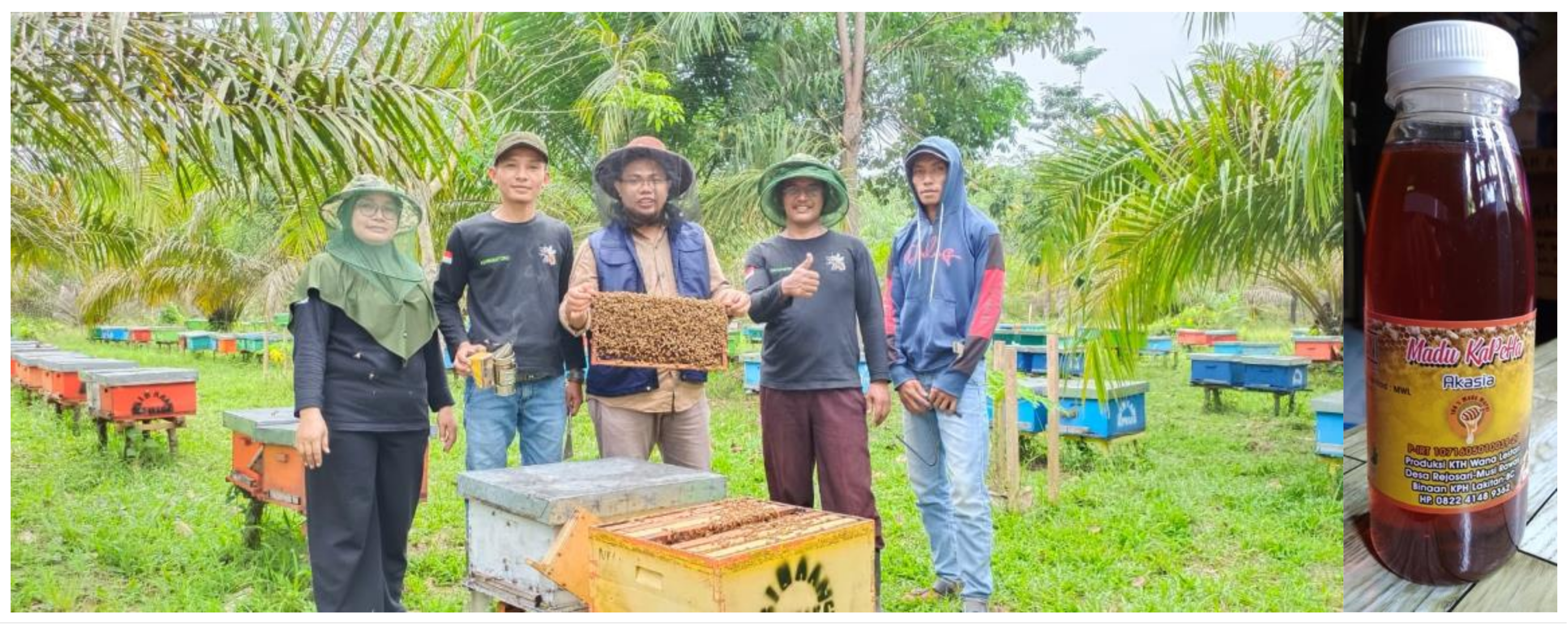 Forests 14 01251 g005 Forests 14 01251 g005