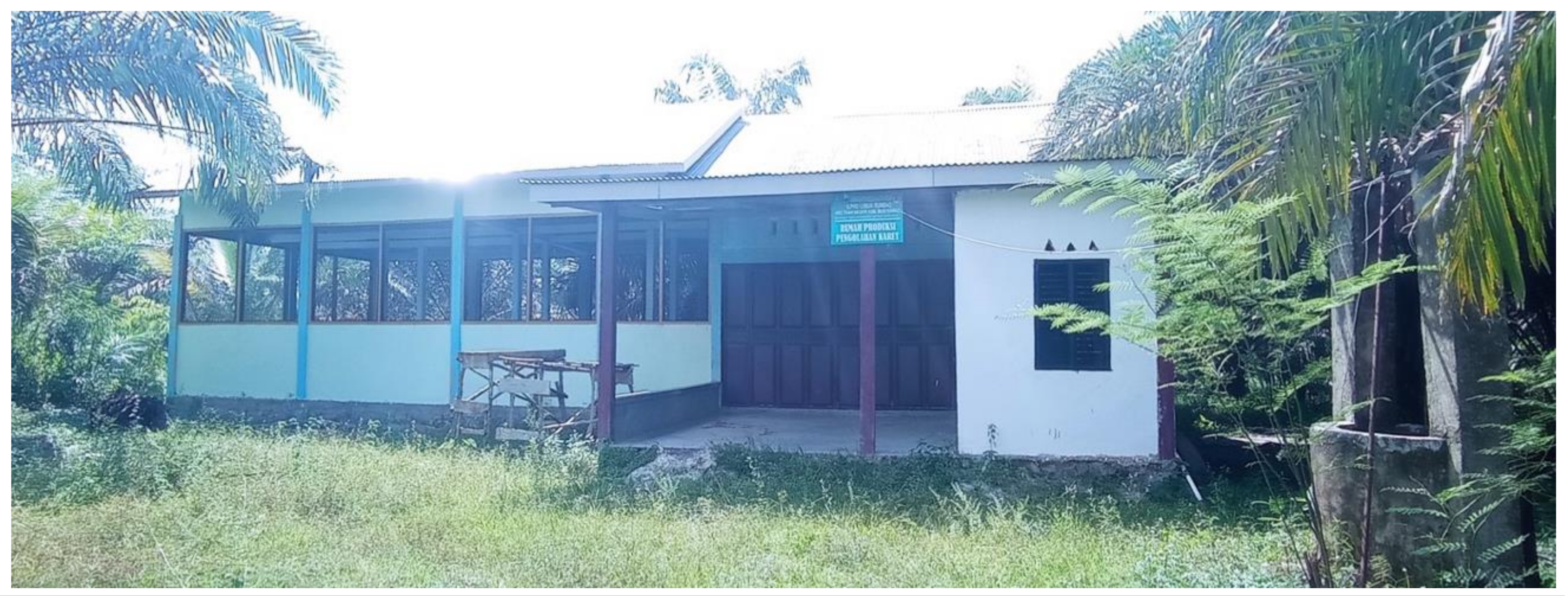 Forests 14 01251 g006 Forests 14 01251 g006