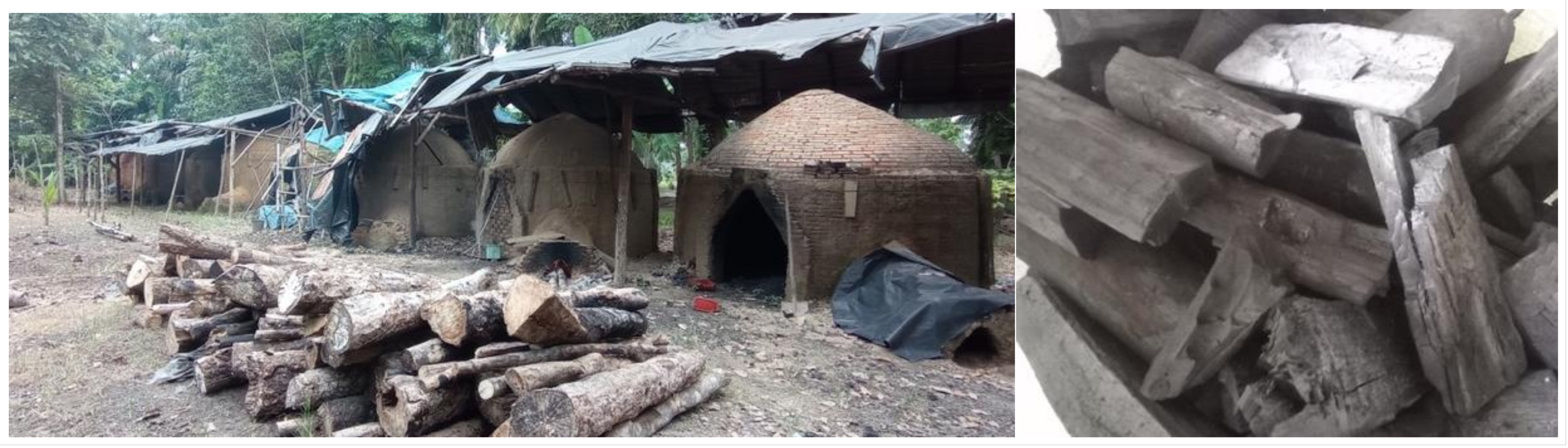 Forests 14 01251 g007 Forests 14 01251 g007