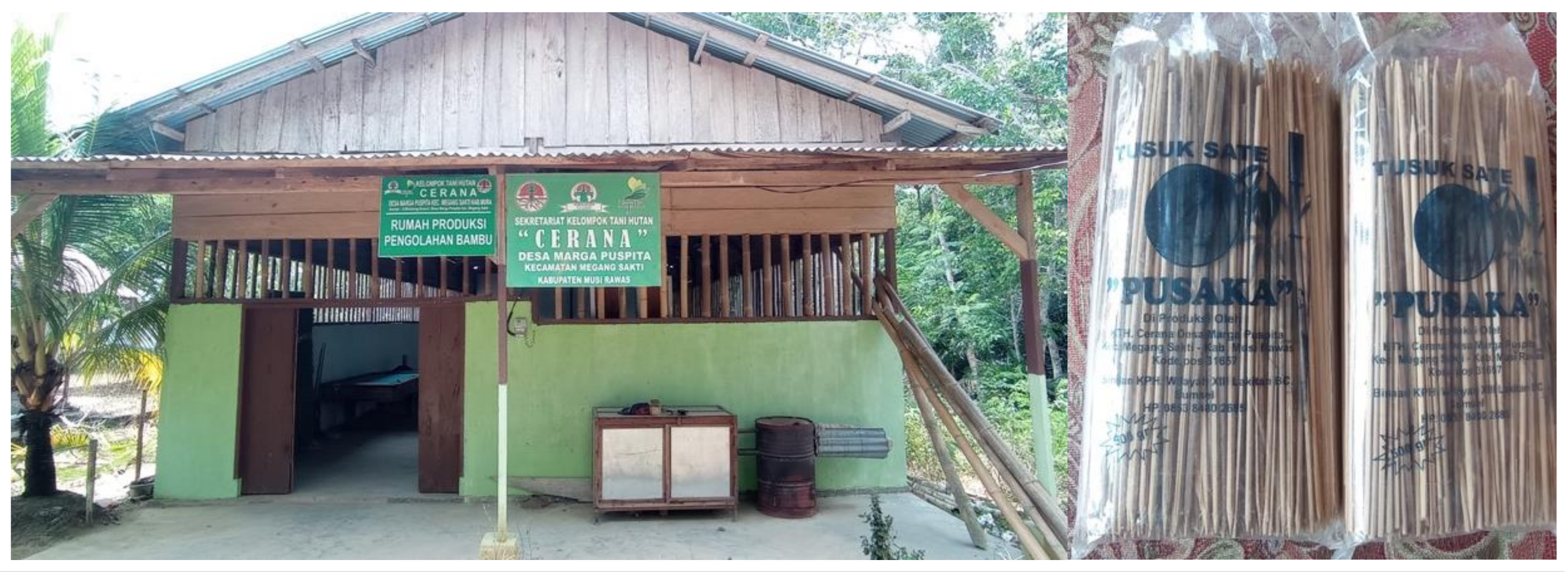 Forests 14 01251 g008 Forests 14 01251 g008