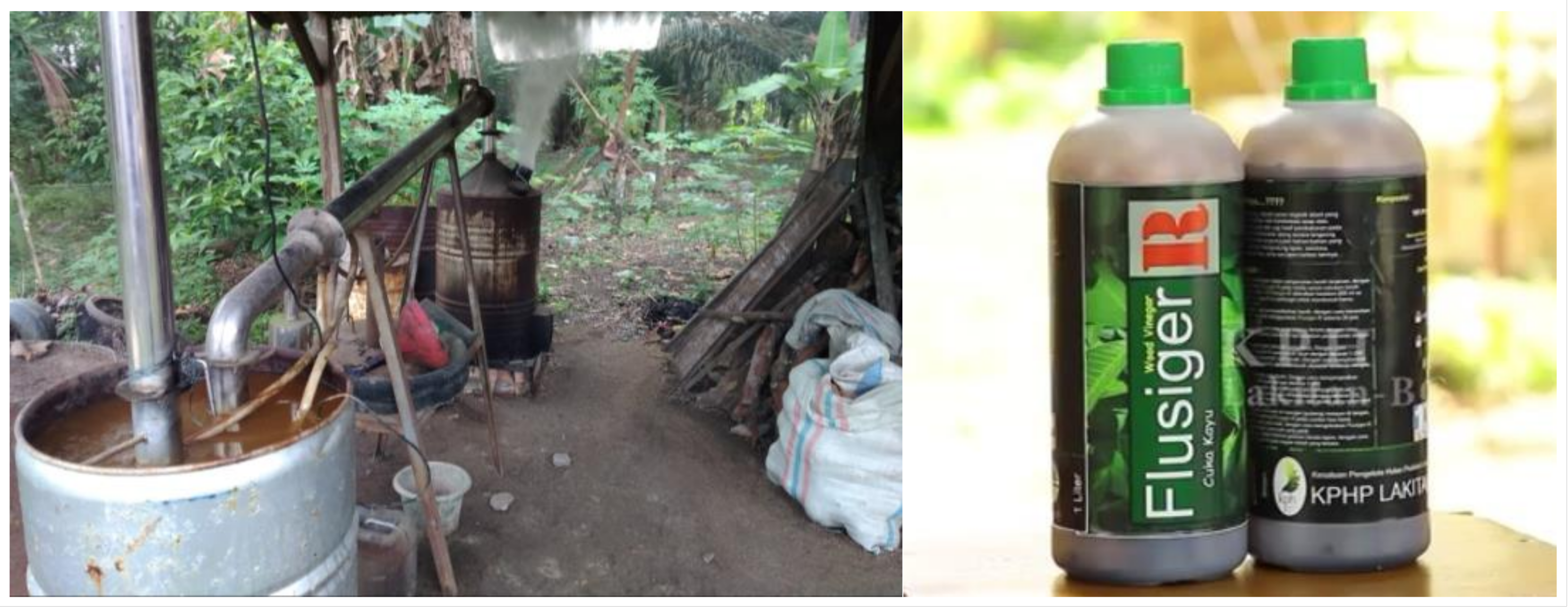 Forests 14 01251 g009 Forests 14 01251 g009