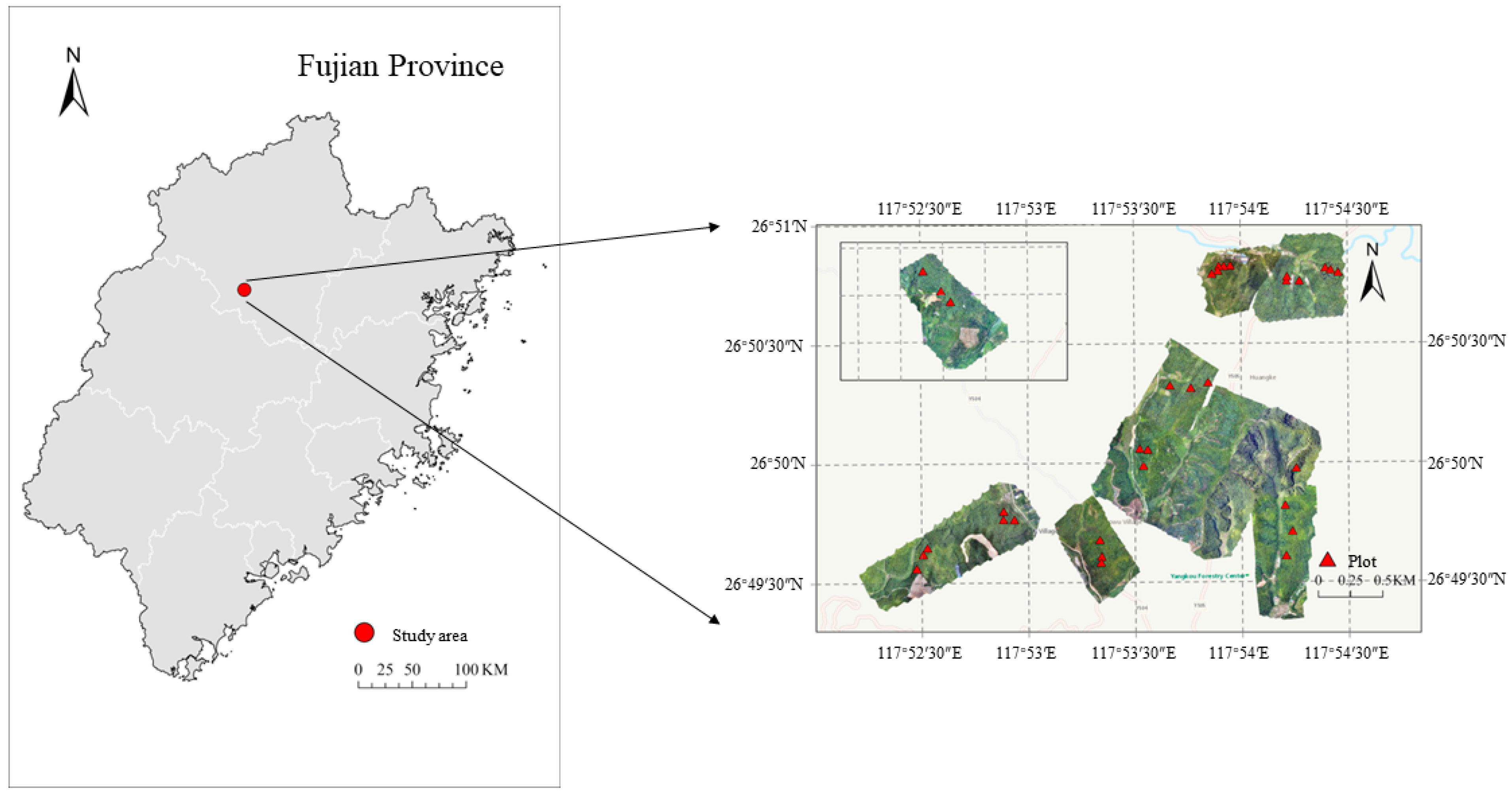 Forests 14 01252 g001