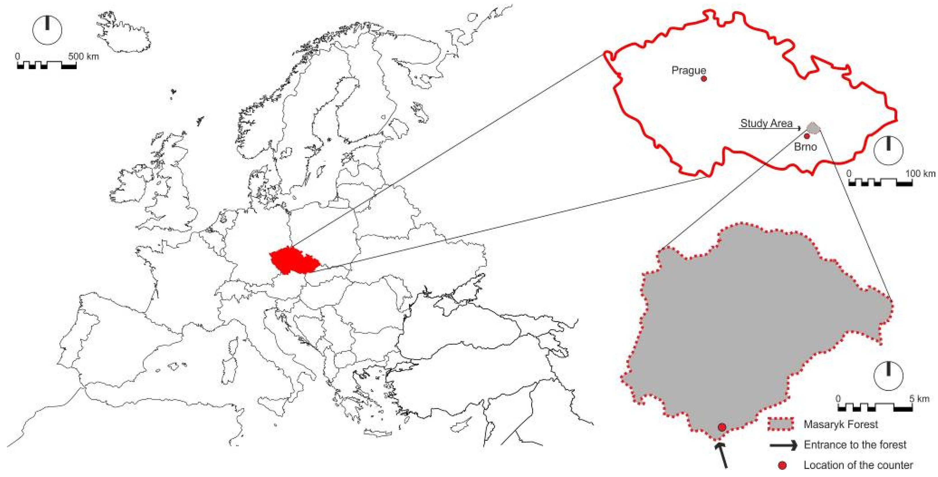 Forests 14 01254 g001