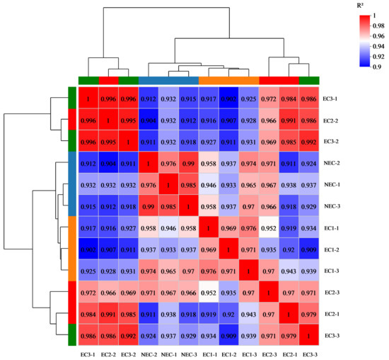 Comparative Transcriptome Analysis between Embryogenic and