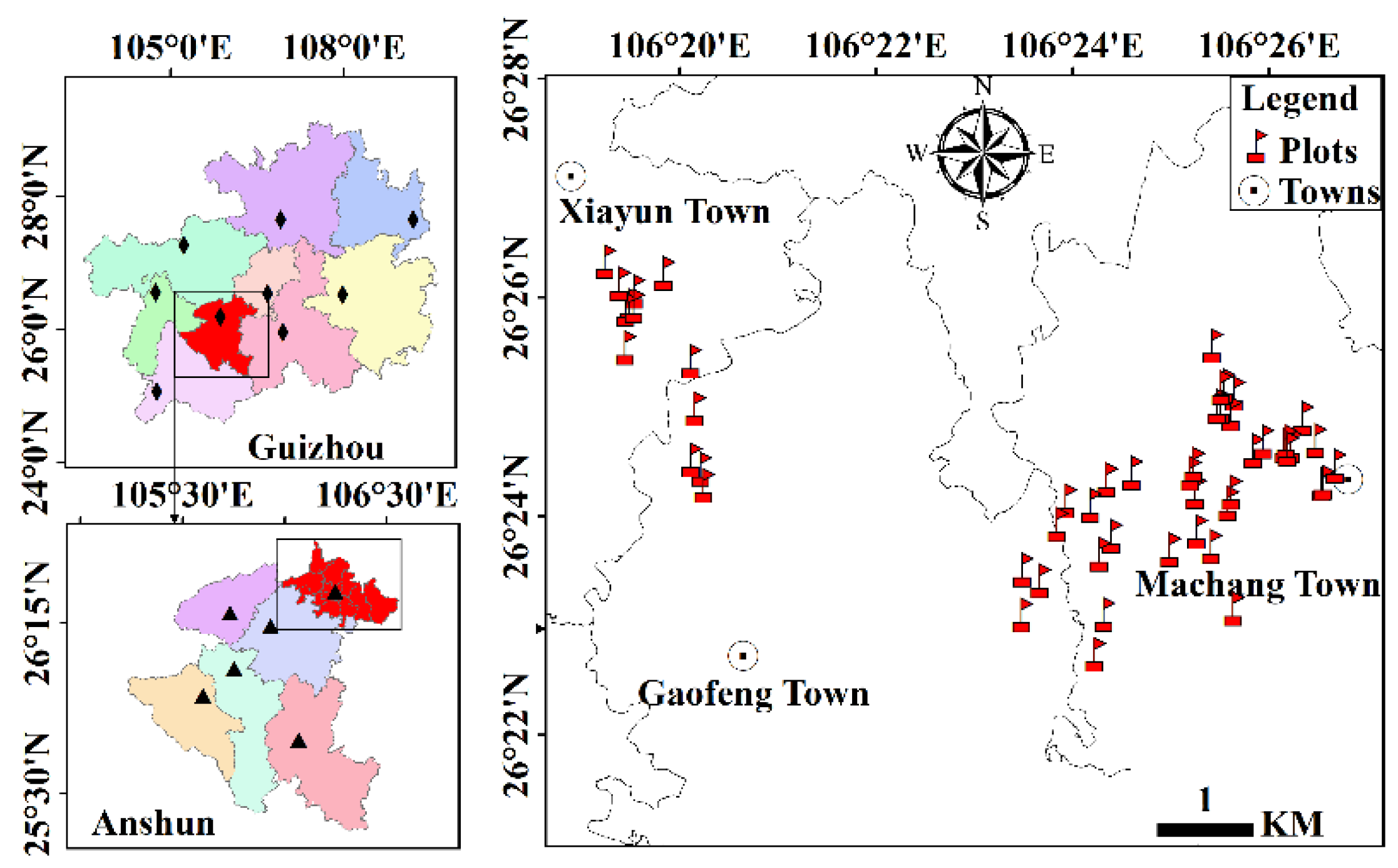 The Evolution of Plant Functional Variation: Traits, Spectra, and